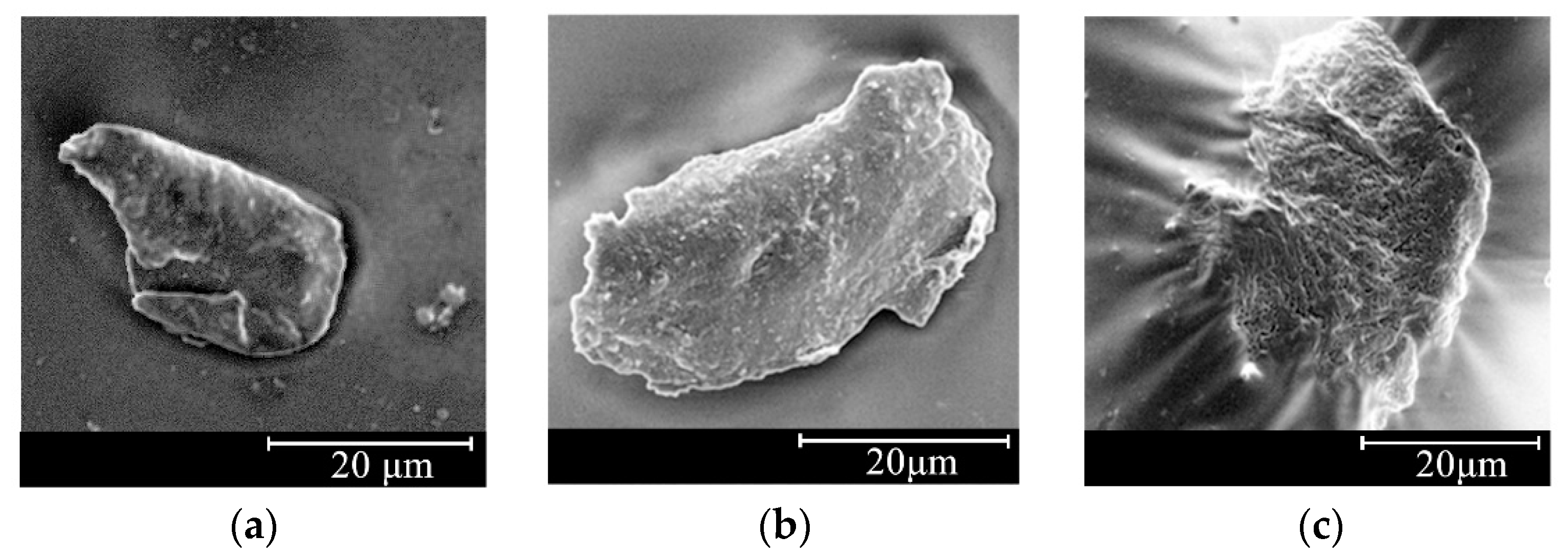 Materials 13 02744 g006