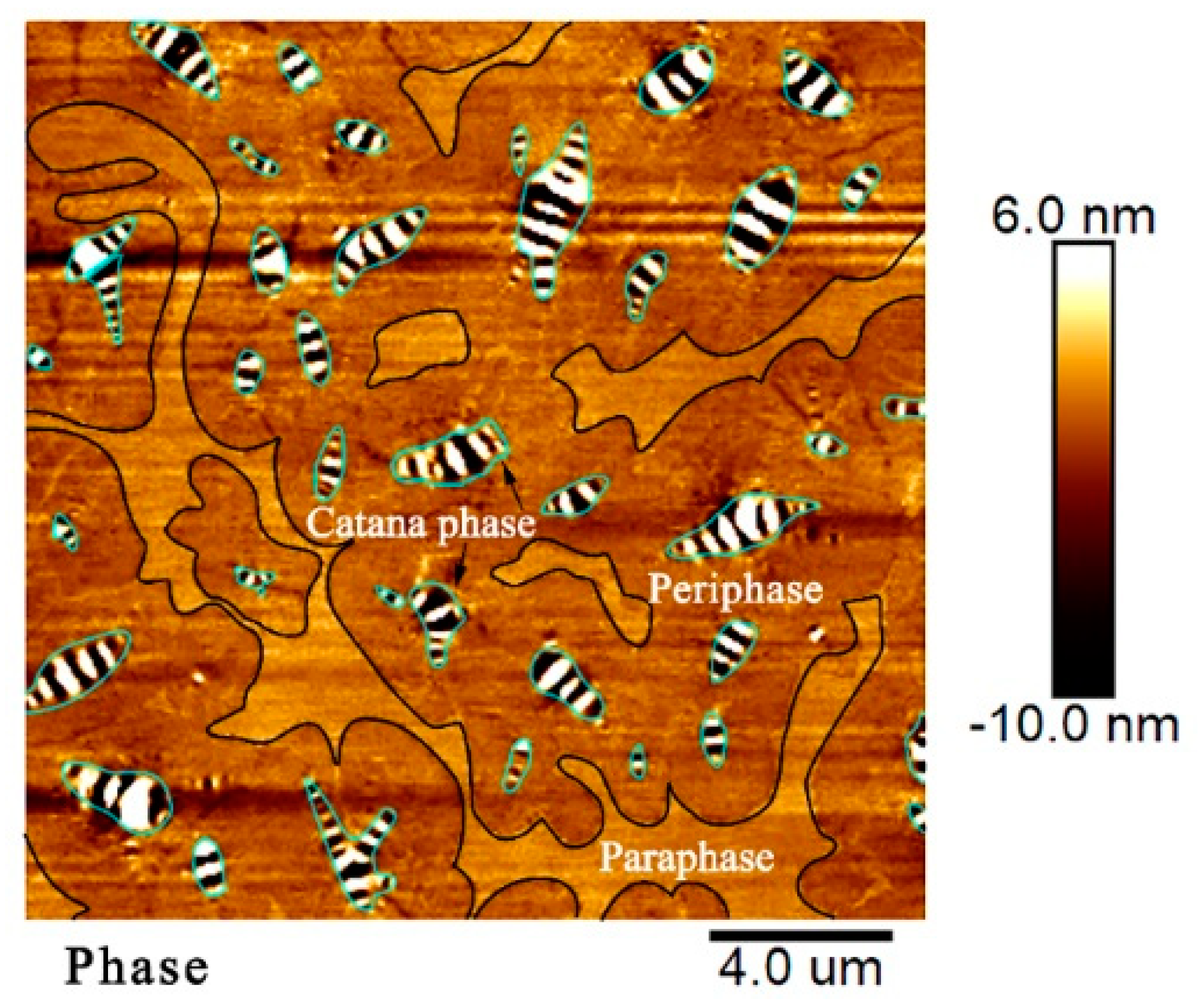 Materials 13 02744 g007