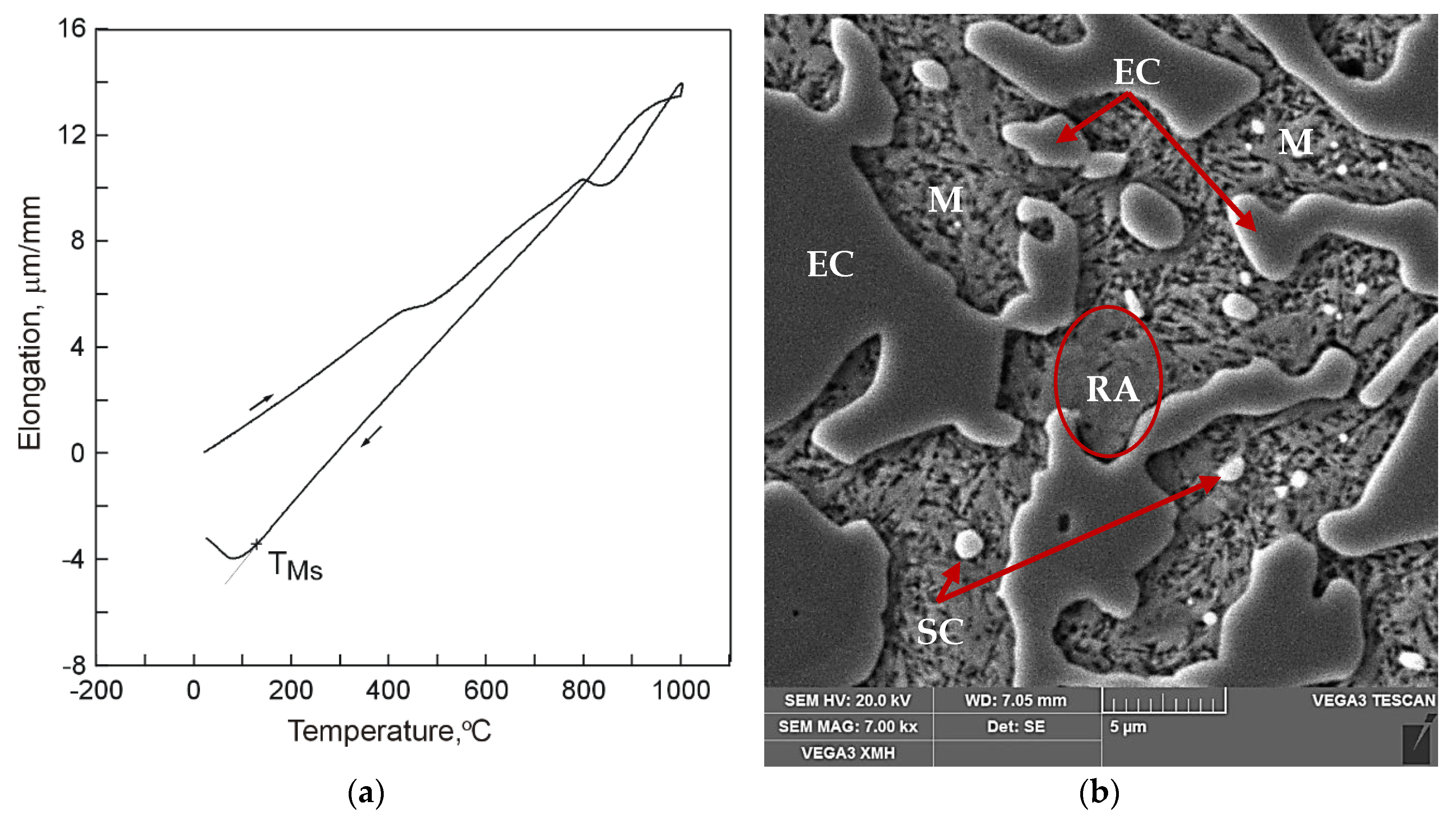 Materials 13 02760 g002