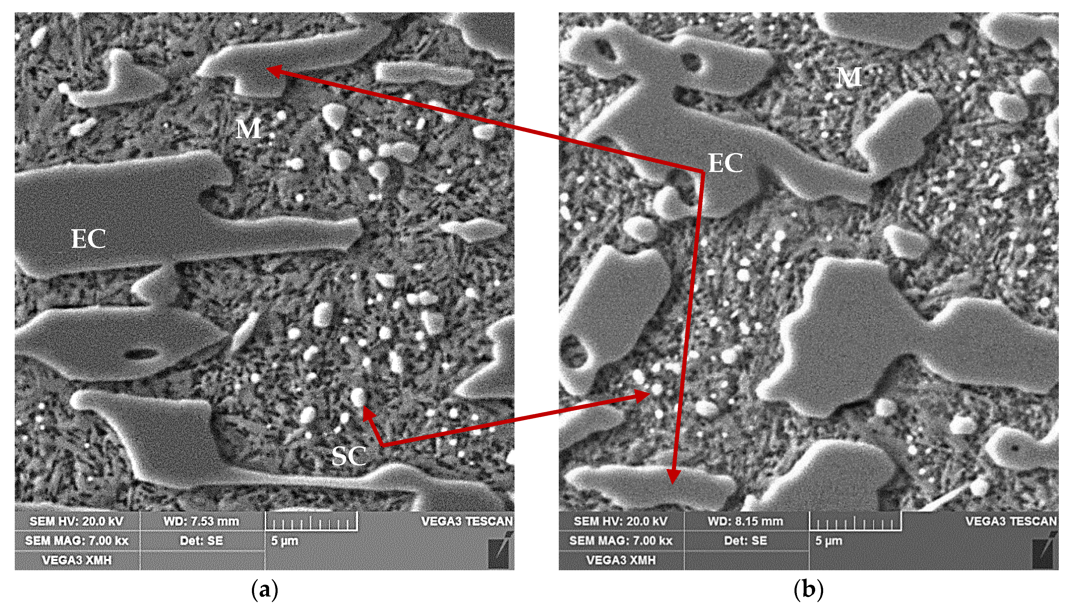 Materials 13 02760 g006