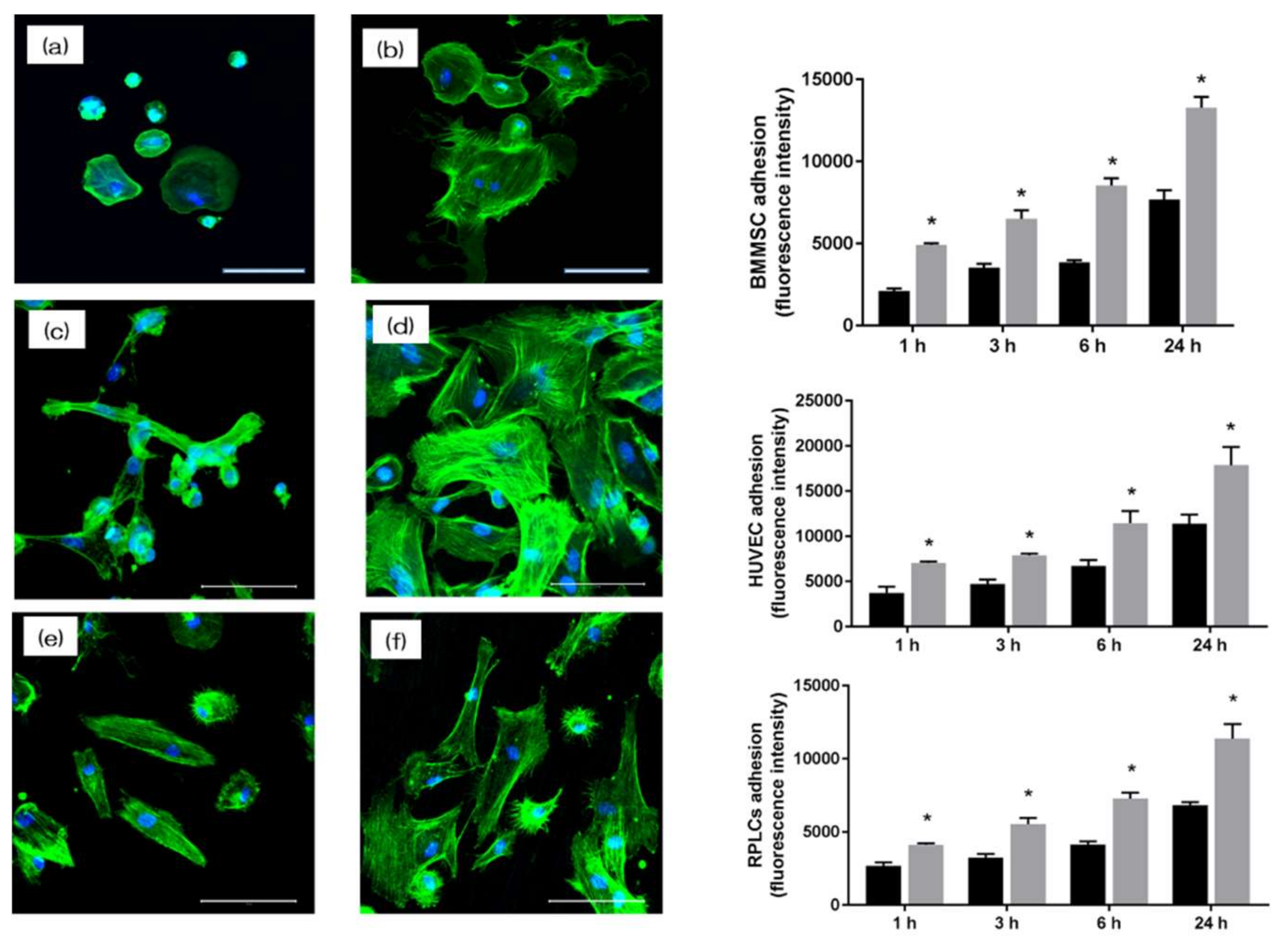 Materials 13 02772 g005