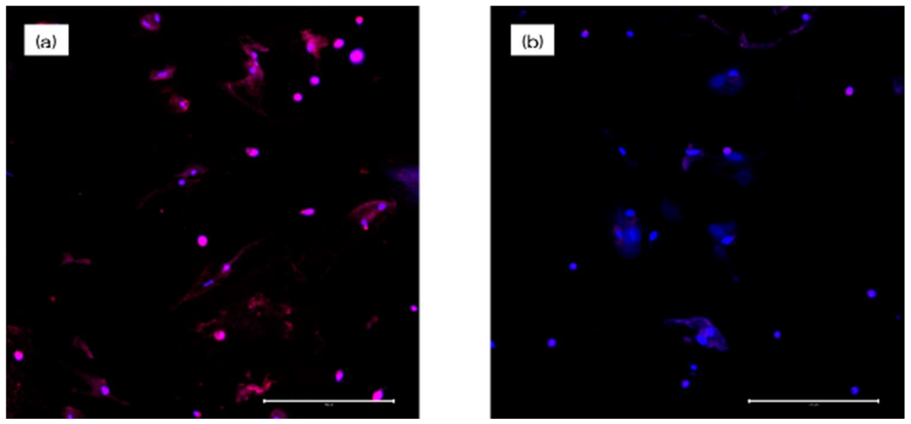 Materials 13 02772 g009