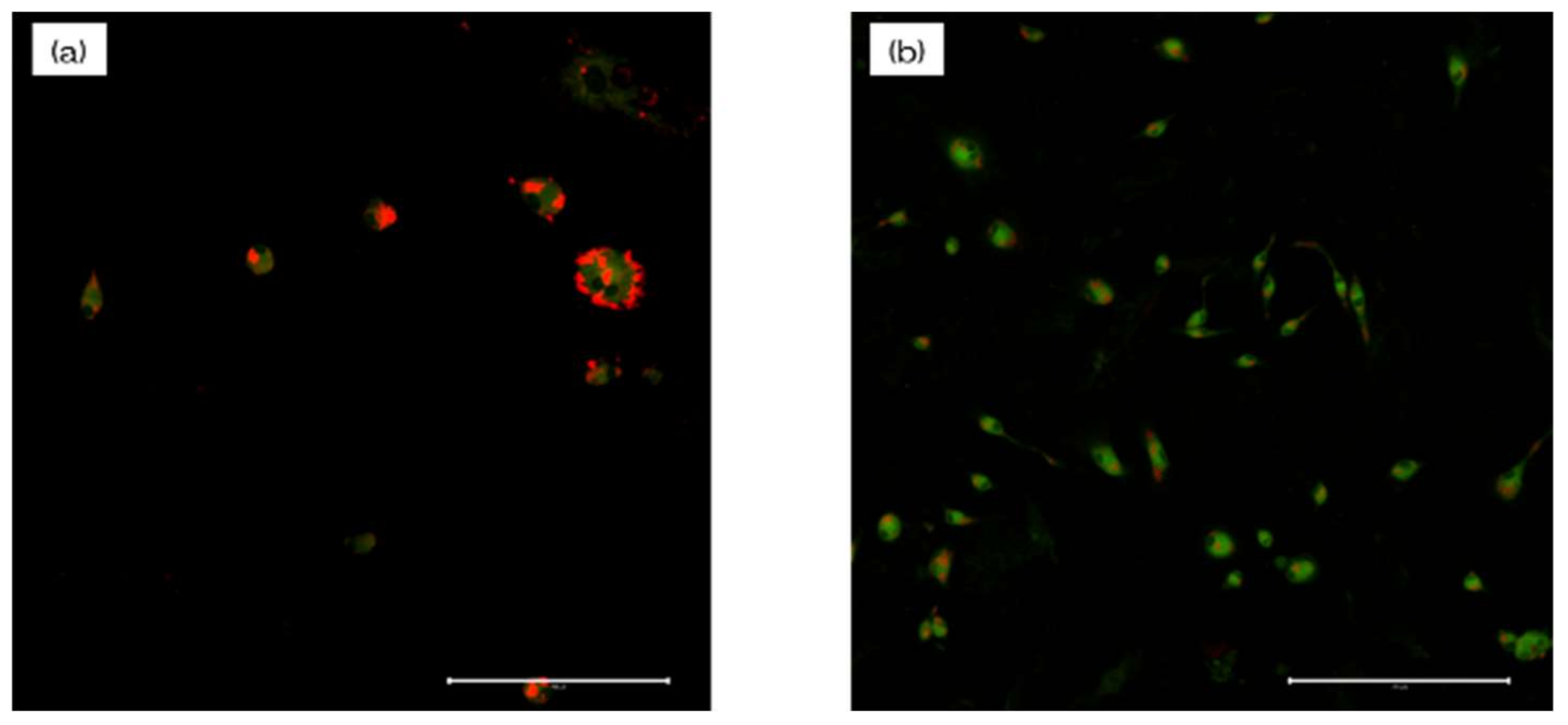 Materials 13 02772 g010