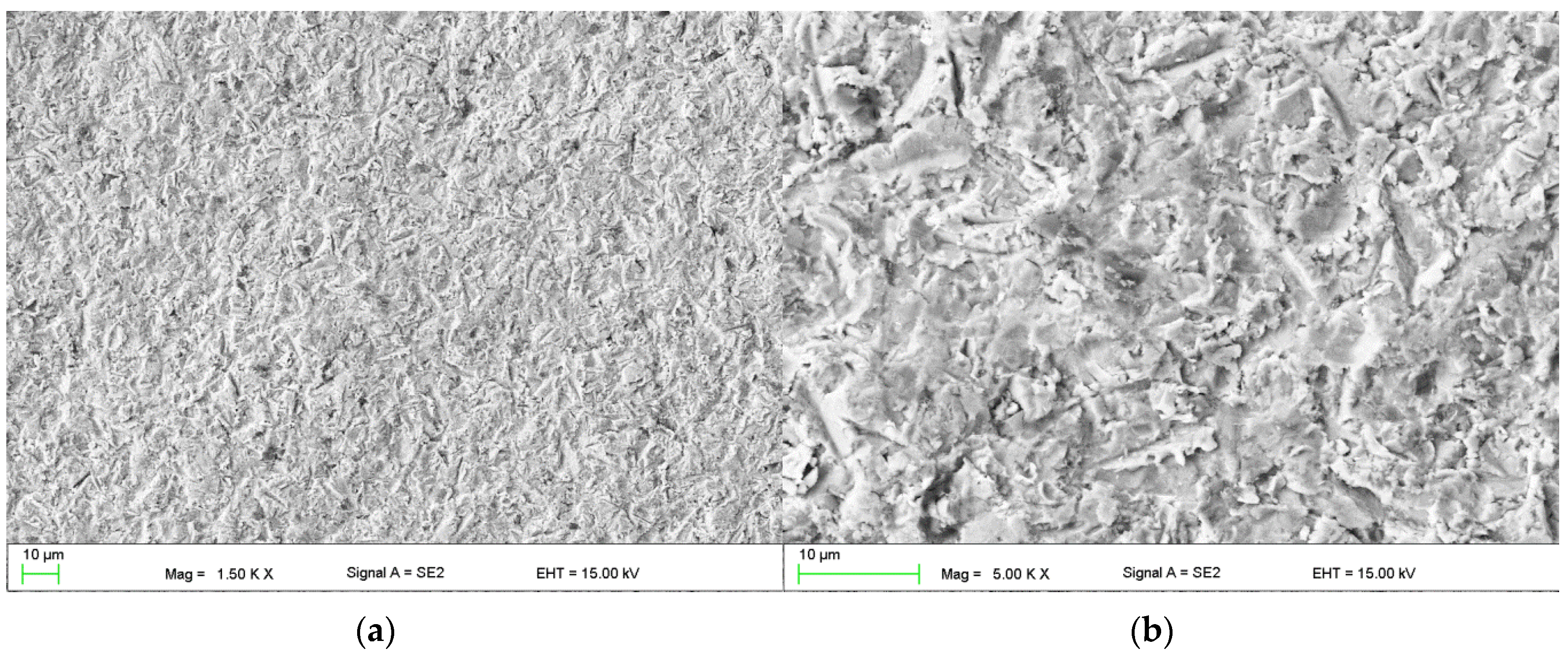 Materials 13 02775 g010