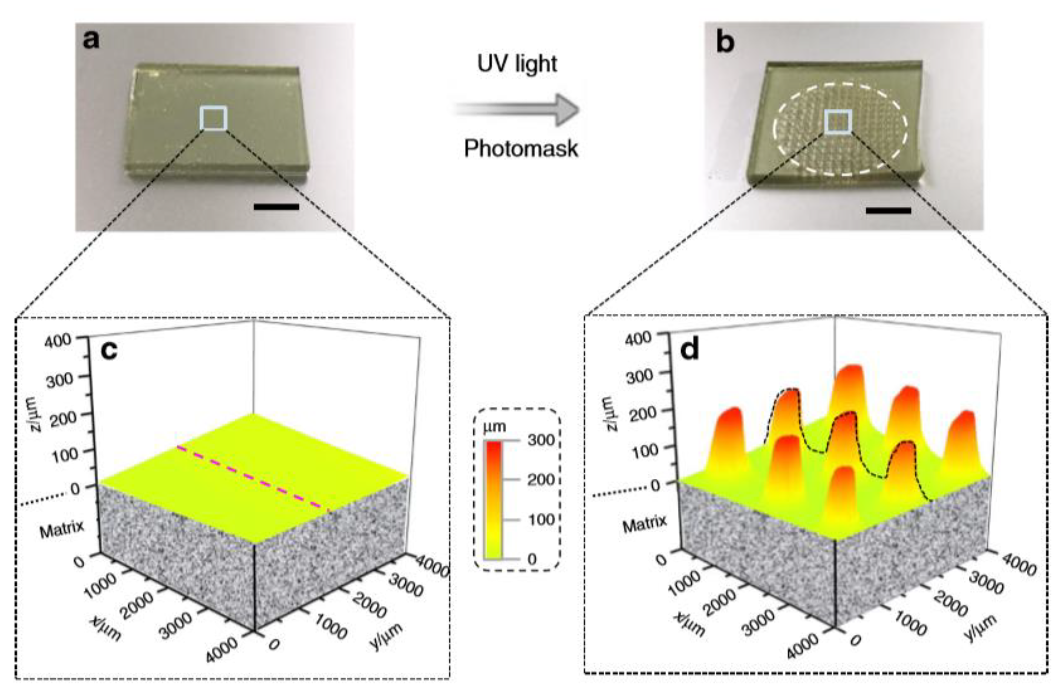 Materials 13 02777 g007