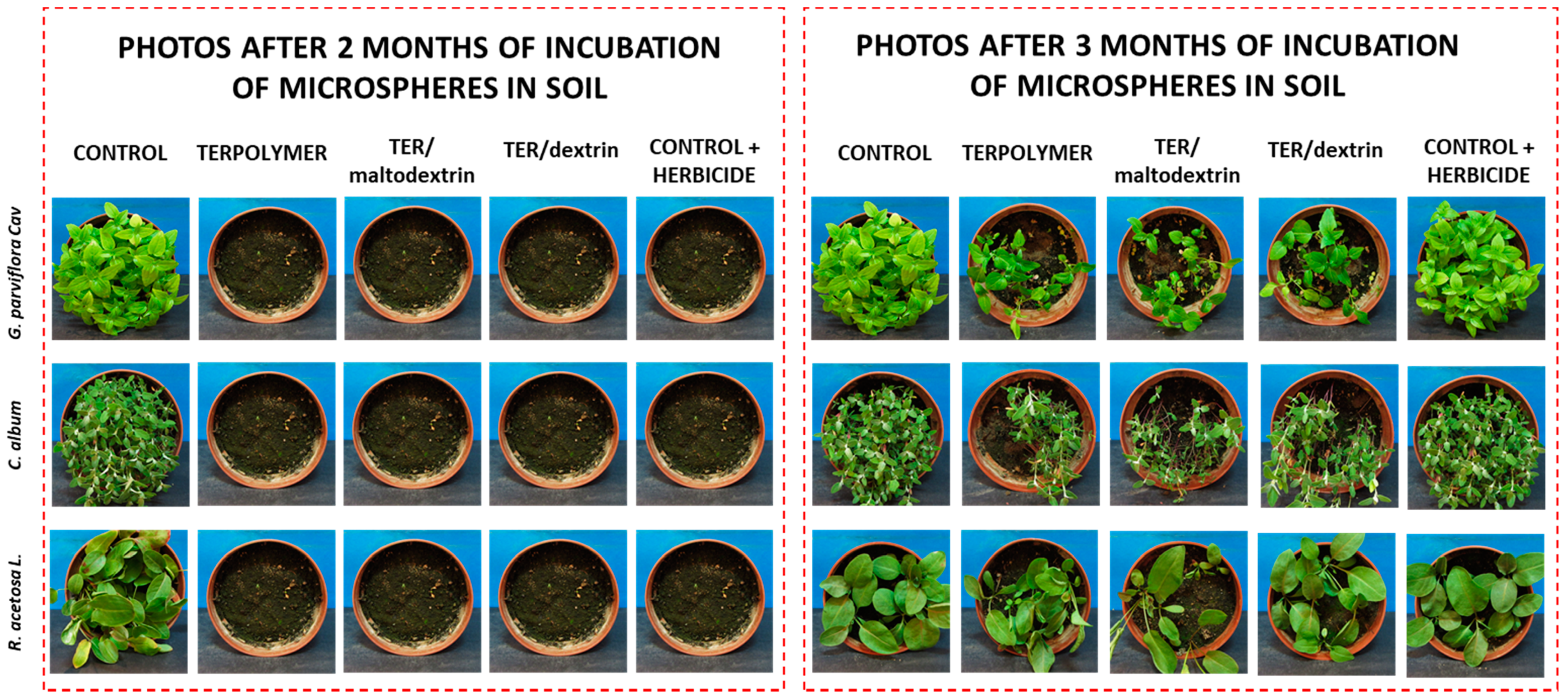 Materials 13 02778 g010