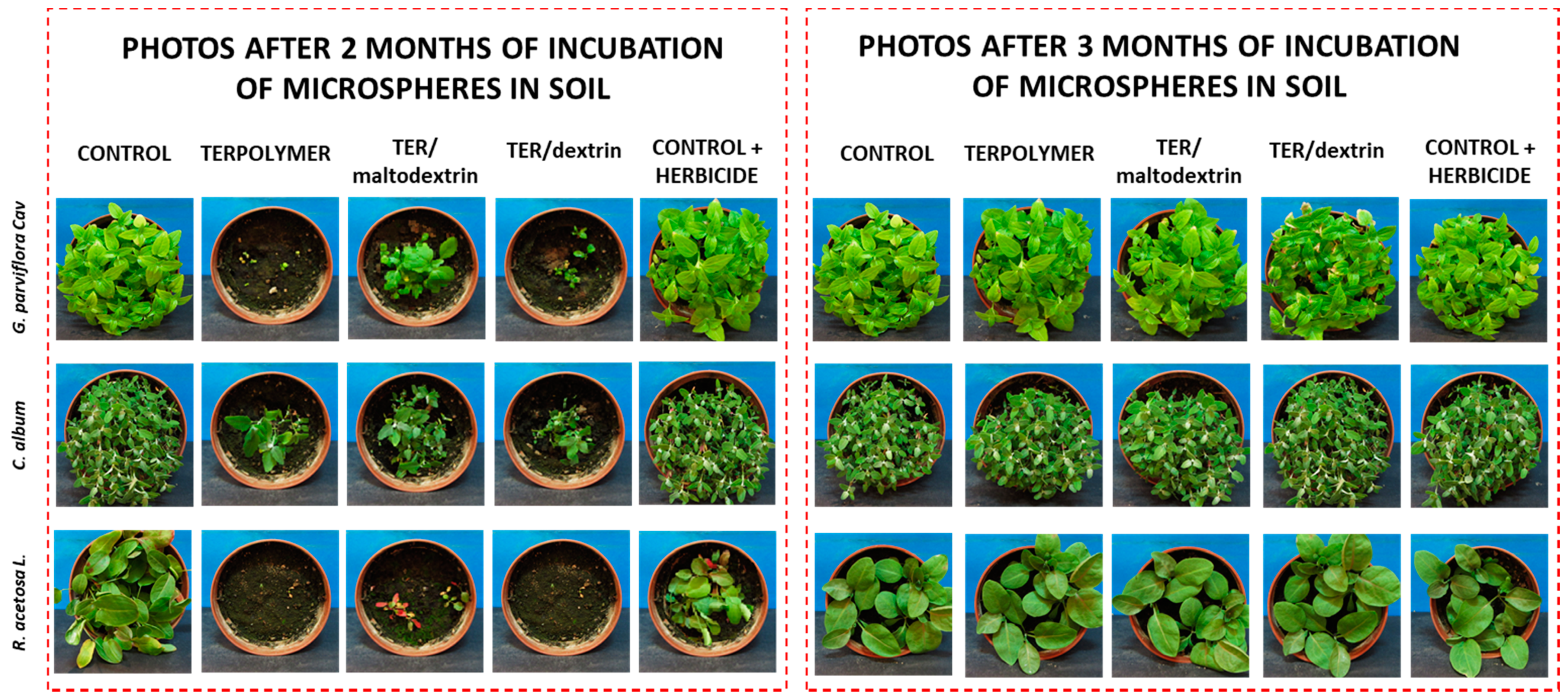 Materials 13 02778 g011