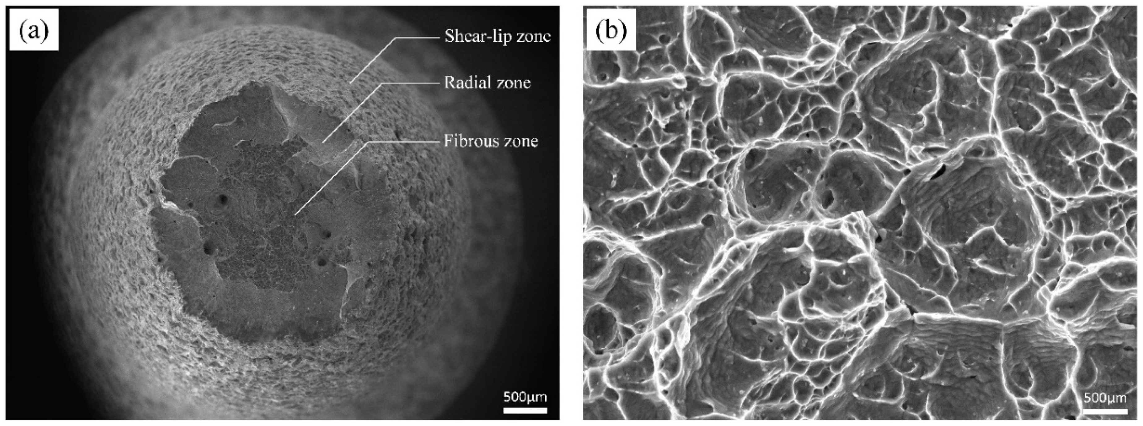 Materials 13 02792 g007