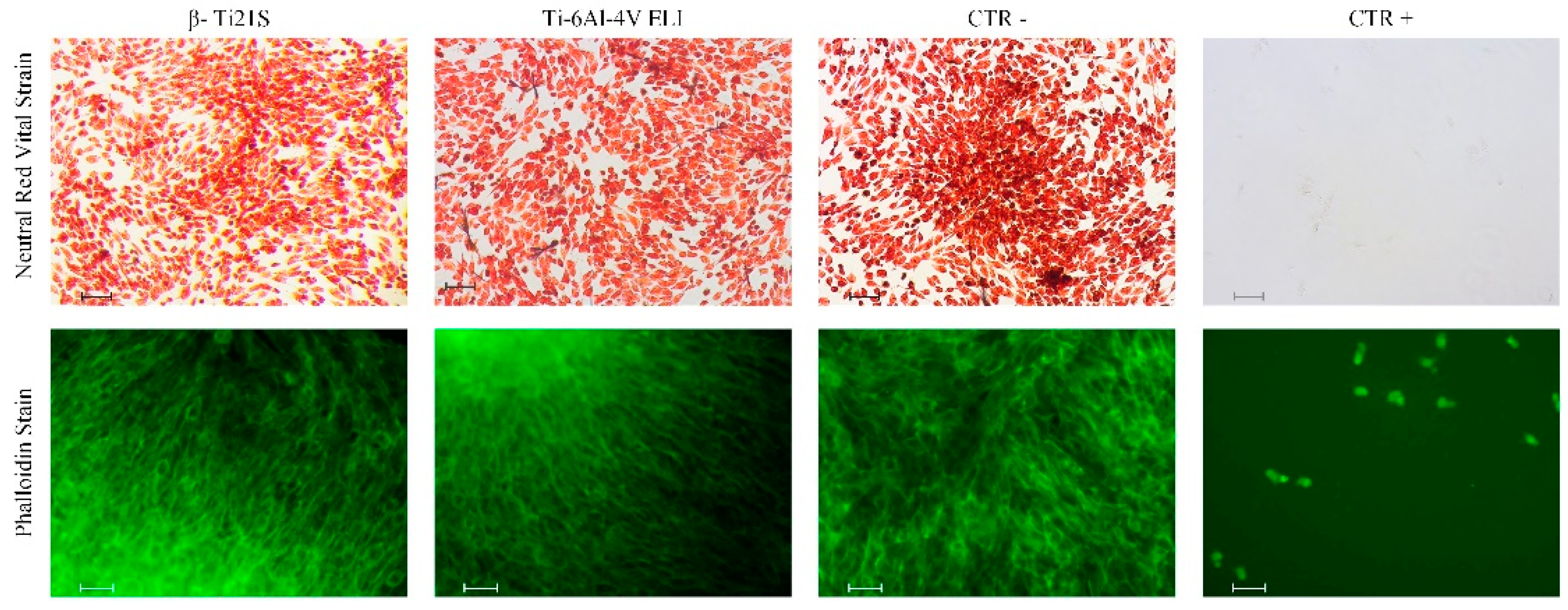 Materials 13 02792 g012