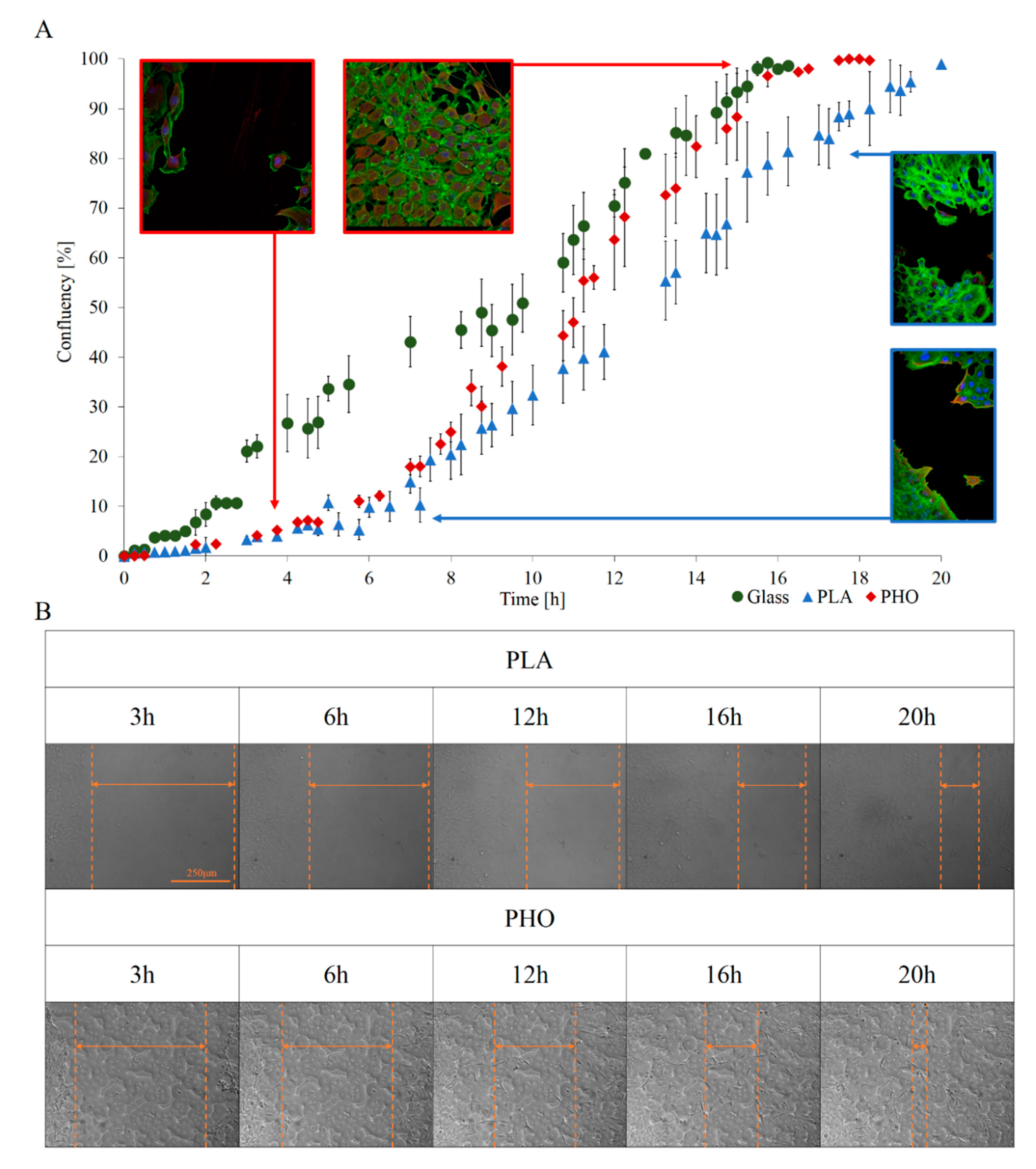 Materials 13 02793 g003 Materials 13 02793 g003