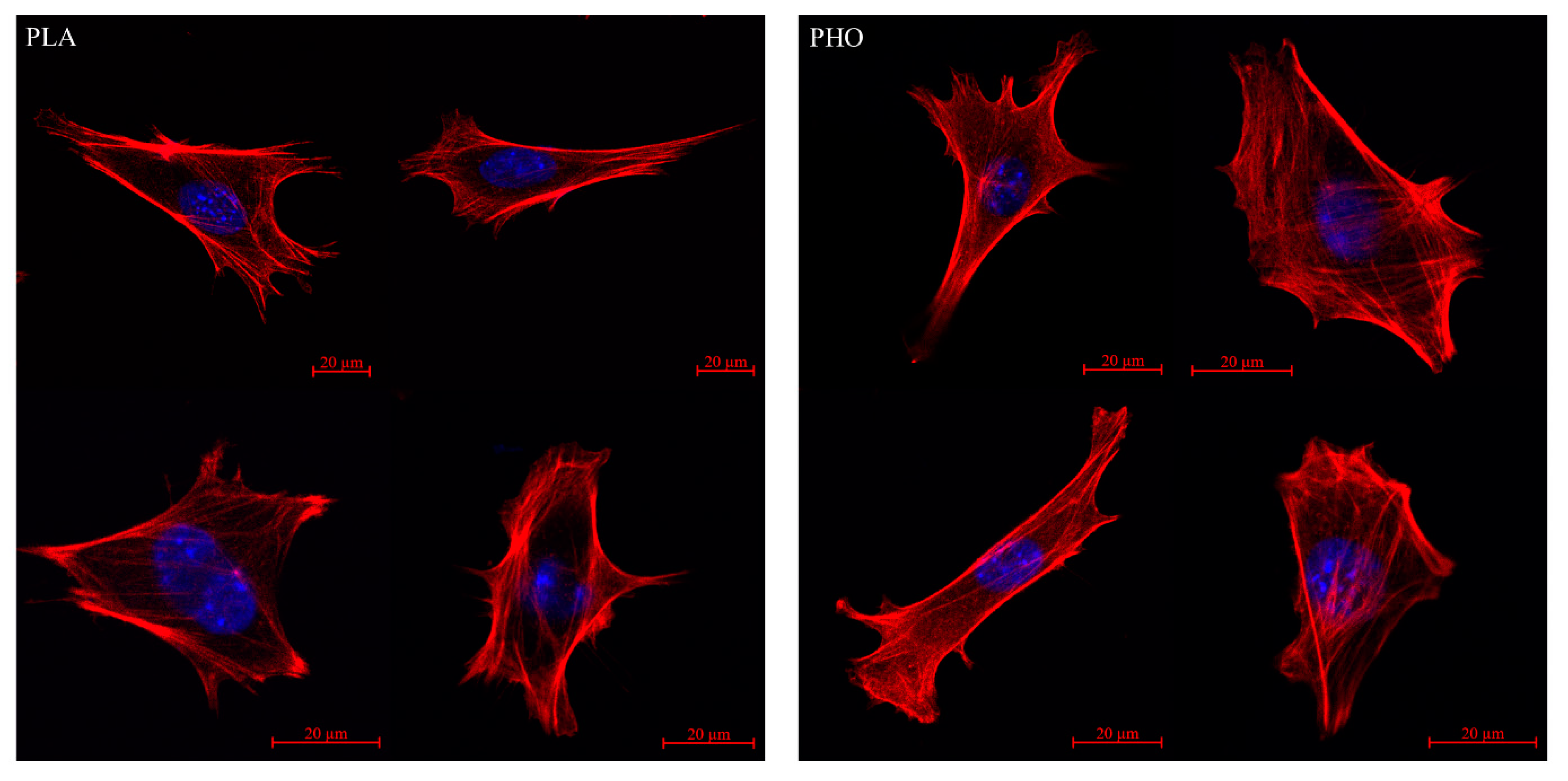 Materials 13 02793 g004 Materials 13 02793 g004