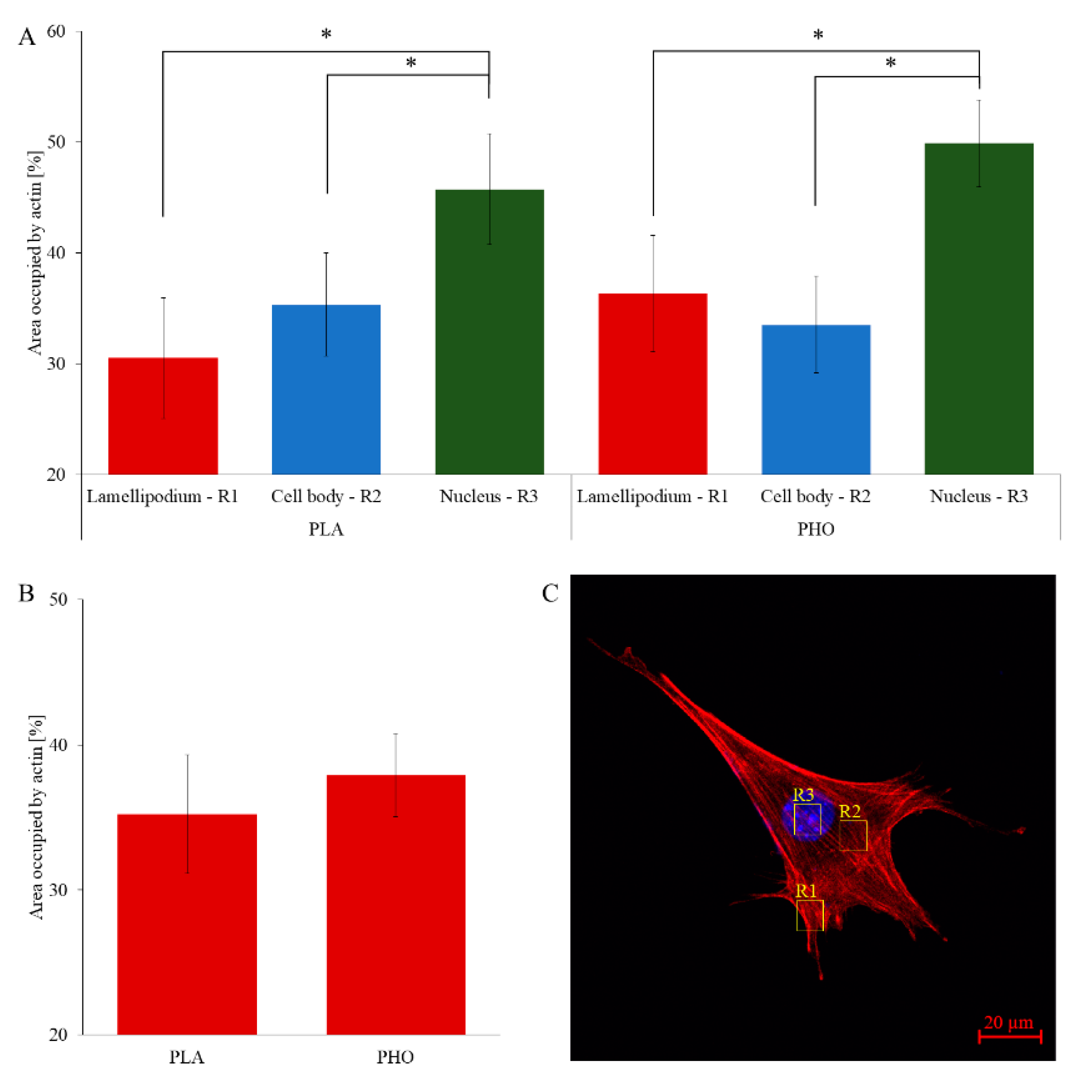 Materials 13 02793 g005 Materials 13 02793 g005