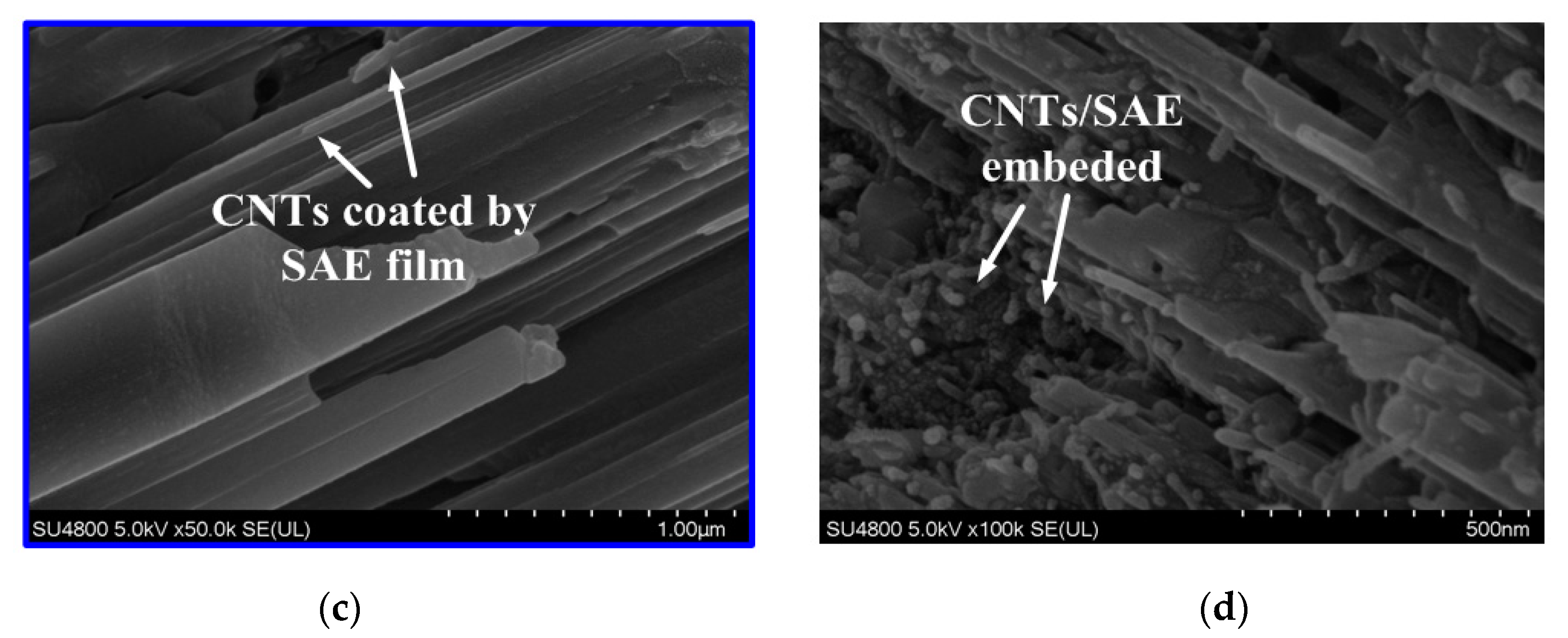 Materials 13 02807 g012b