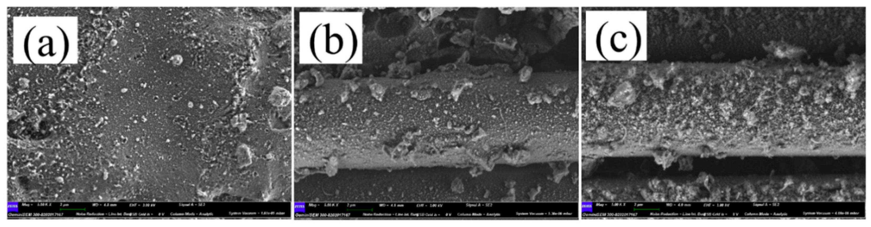 Materials 13 02808 g012