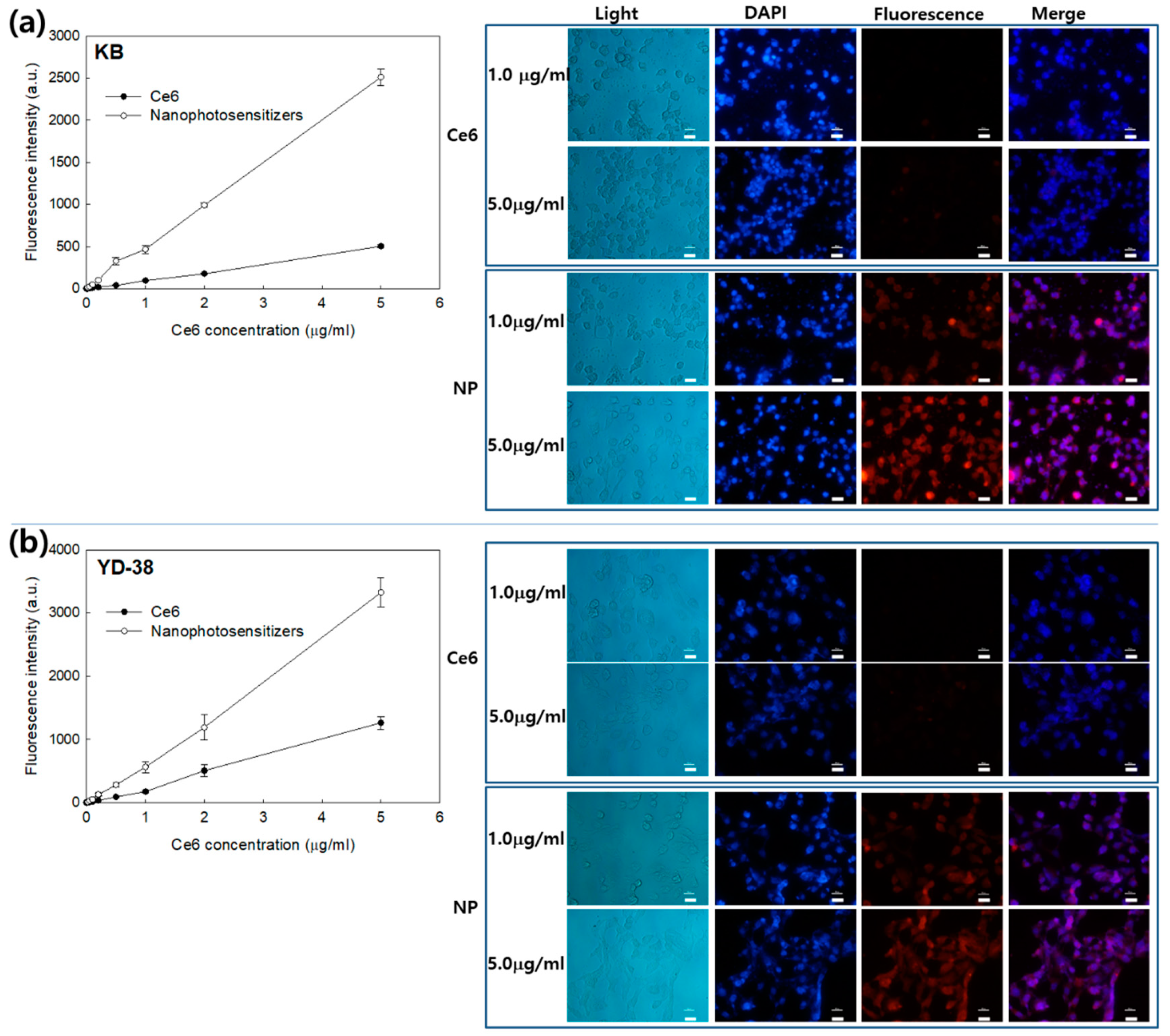 Materials 13 02810 g004