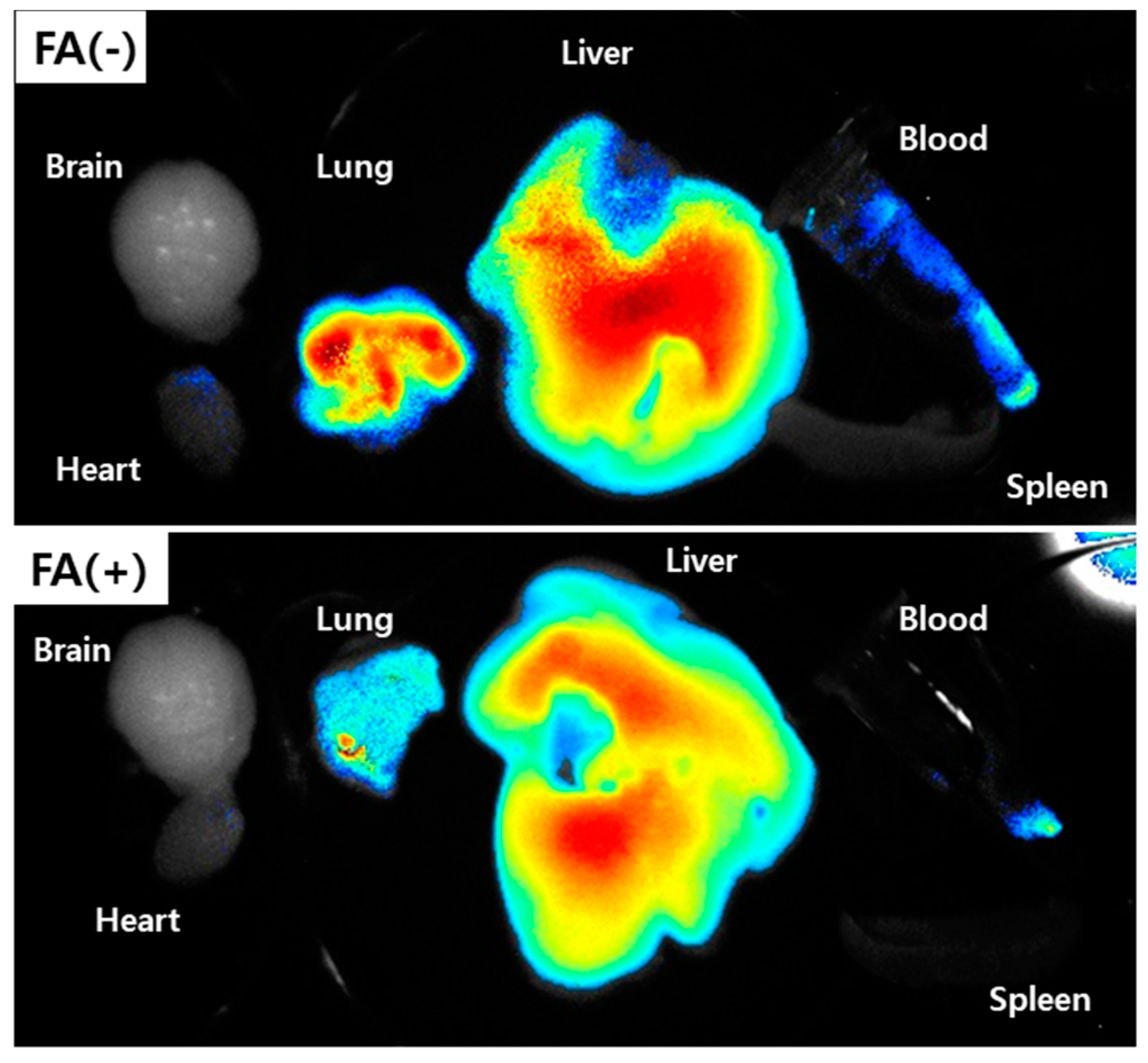 Materials 13 02810 g007