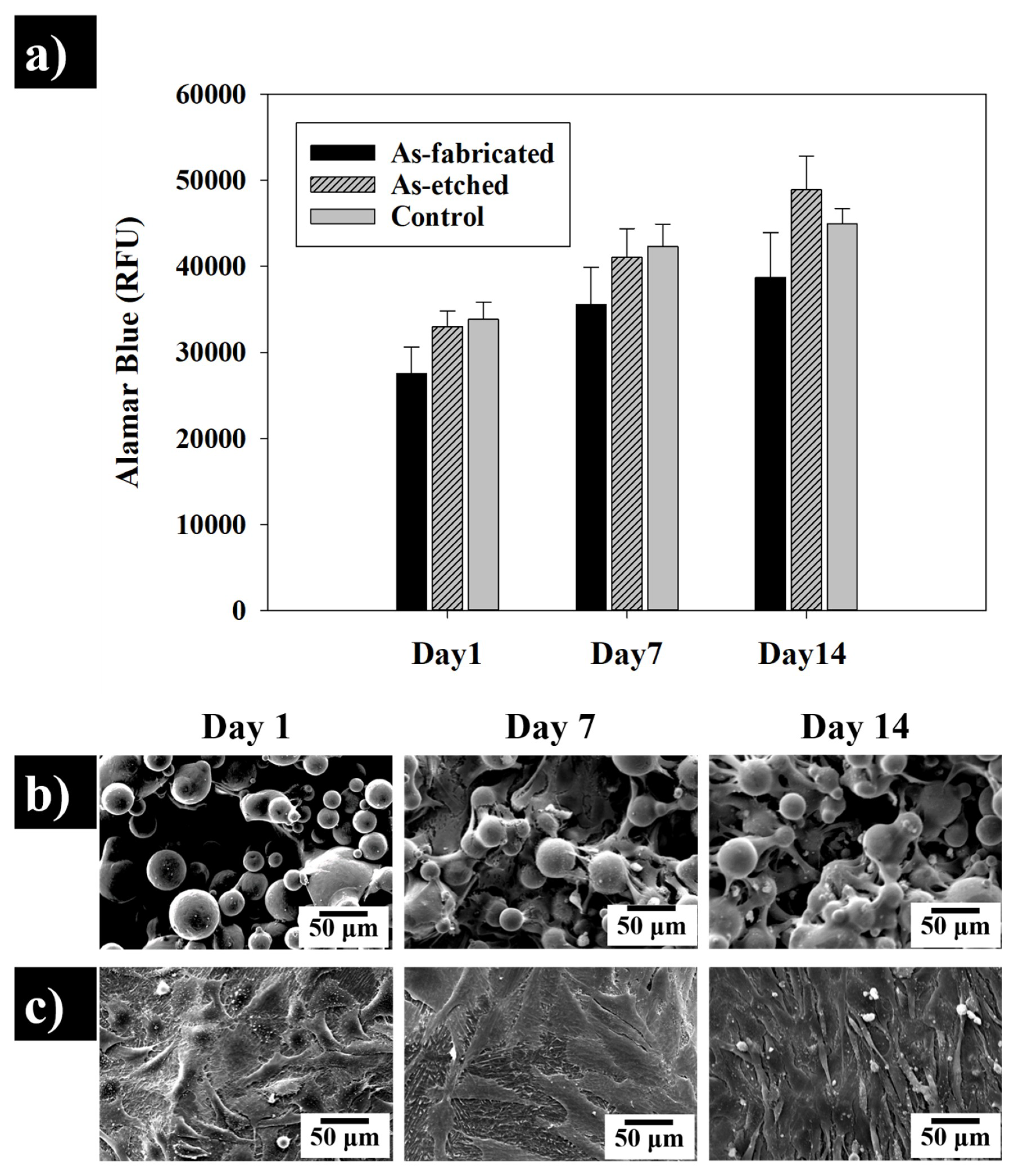 Materials 13 02813 g011