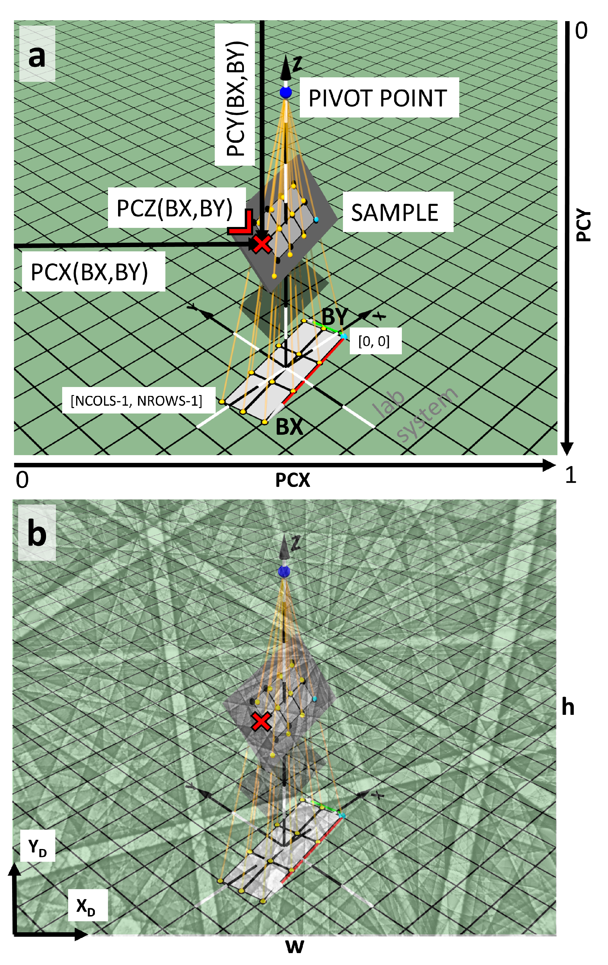Materials 13 02816 g001