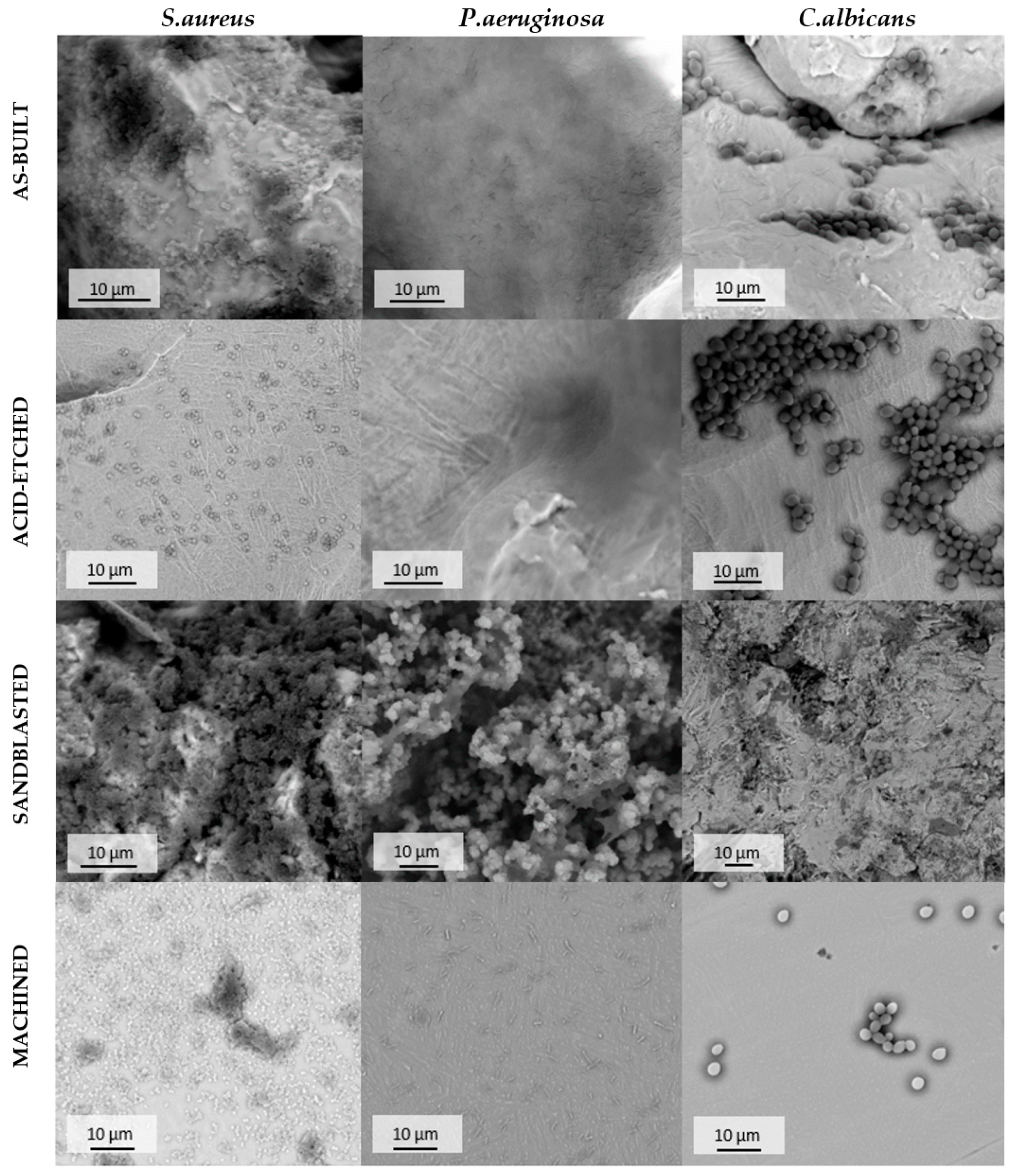 Materials 13 02822 g012