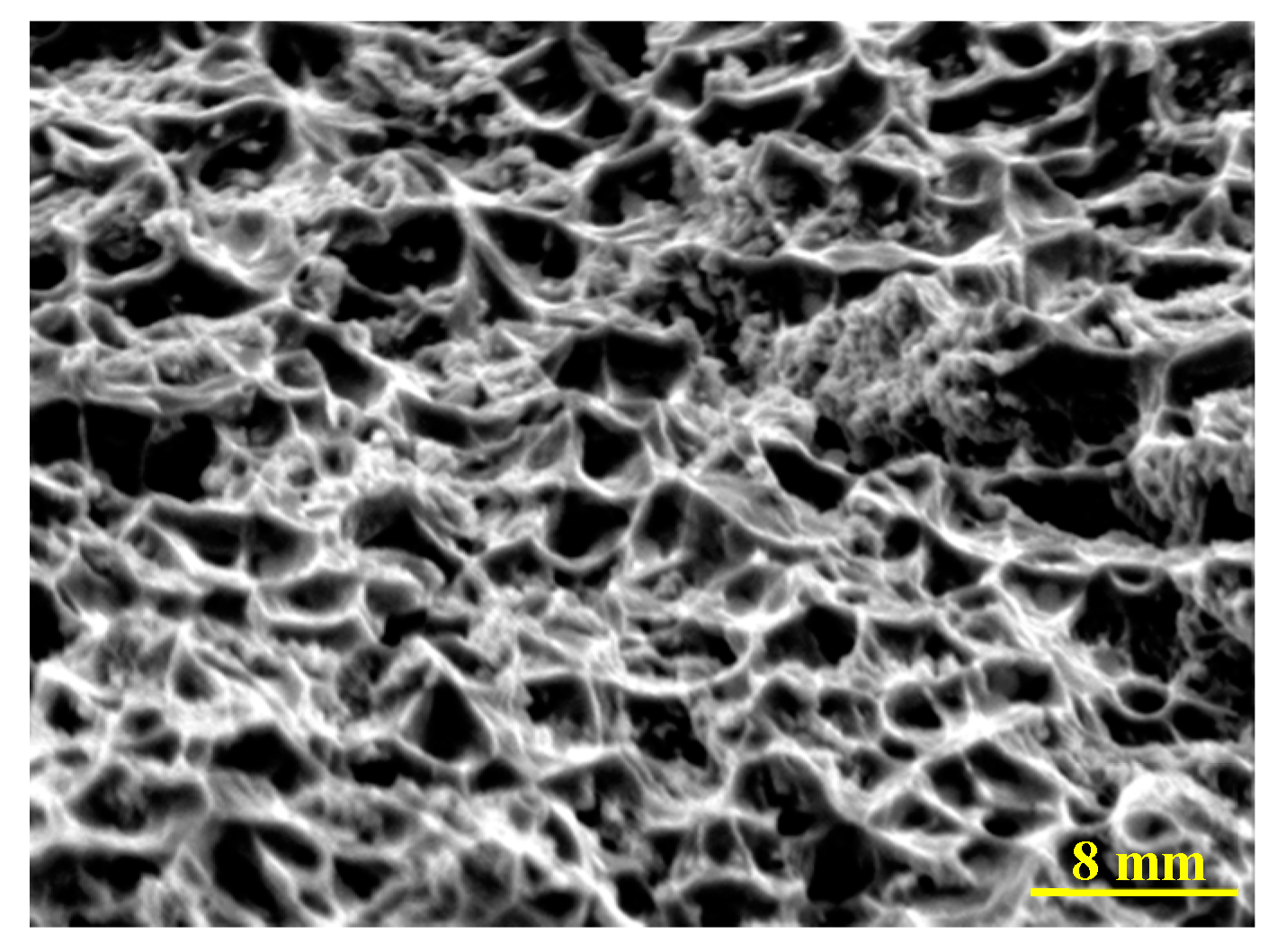 Materials 13 02823 g010