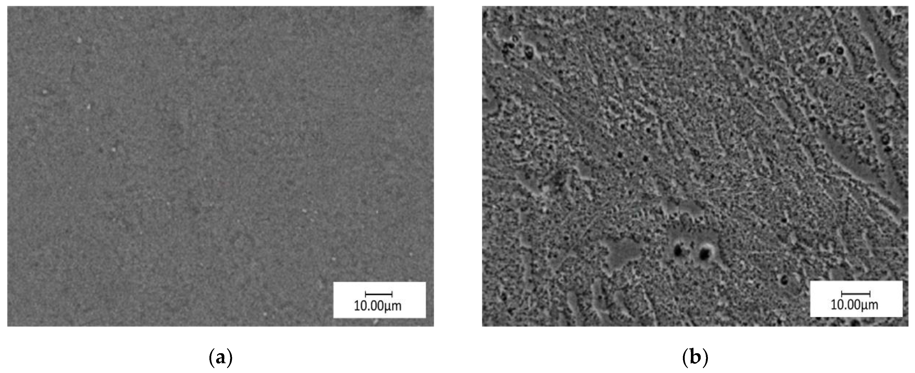 Materials 13 02829 g011