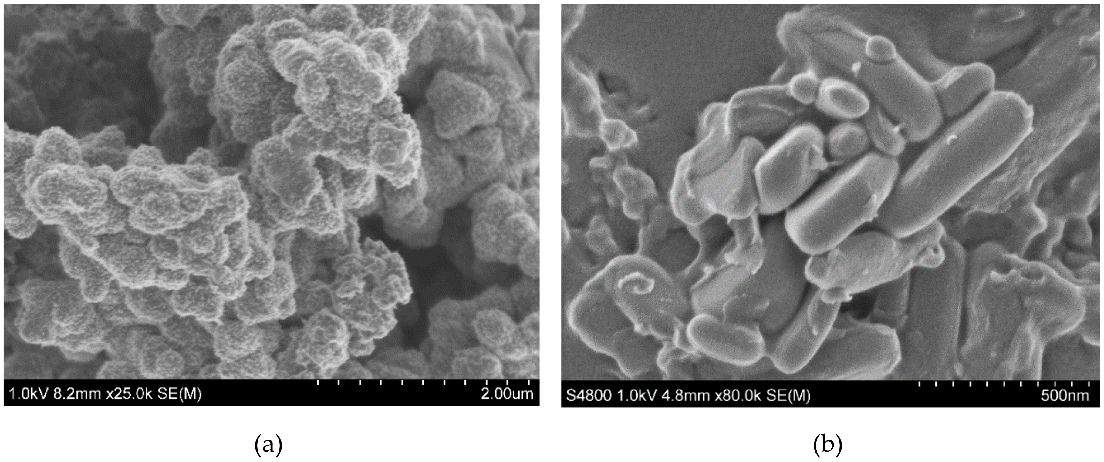 Materials 13 02834 g007a