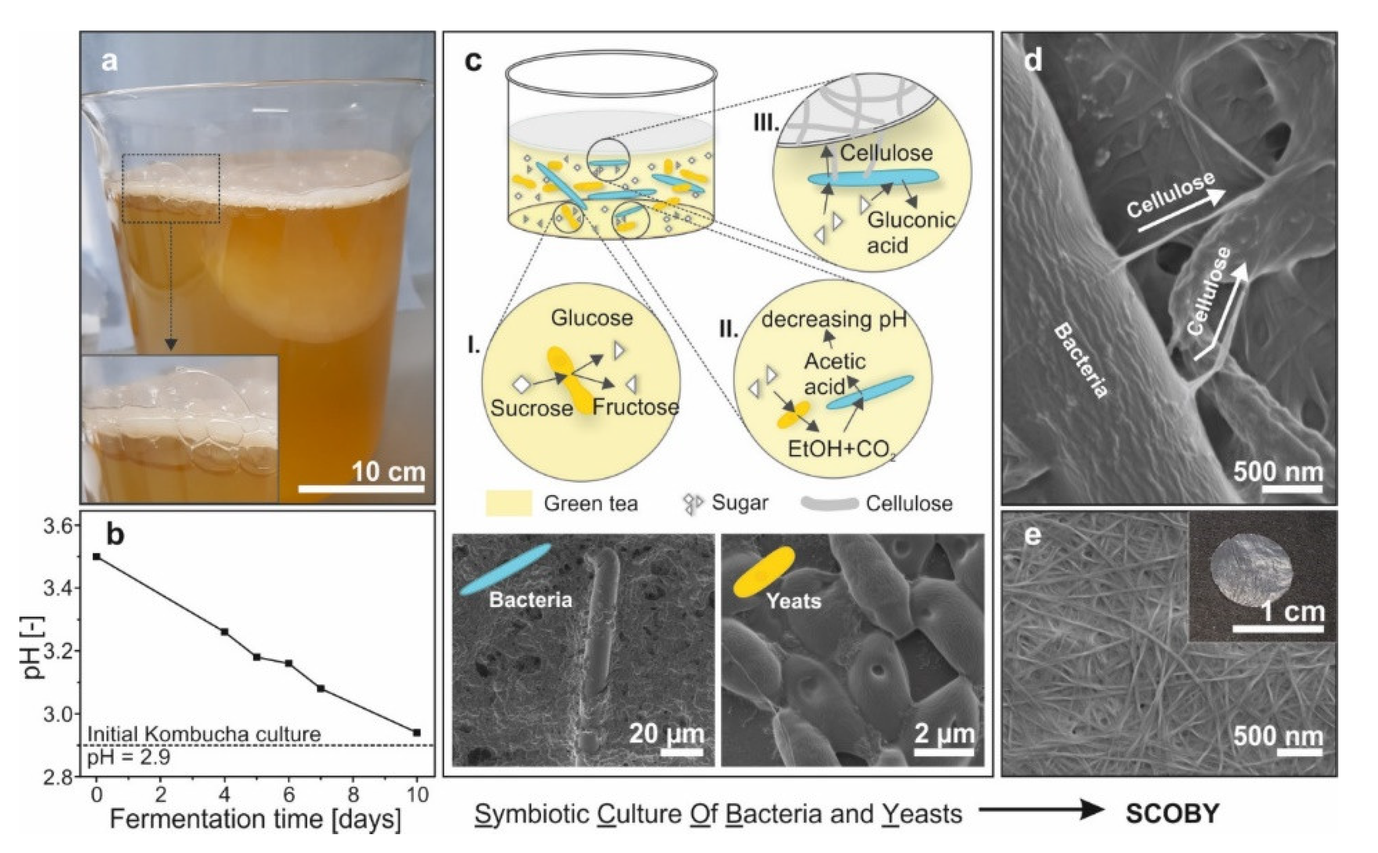 Materials 13 02838 g001