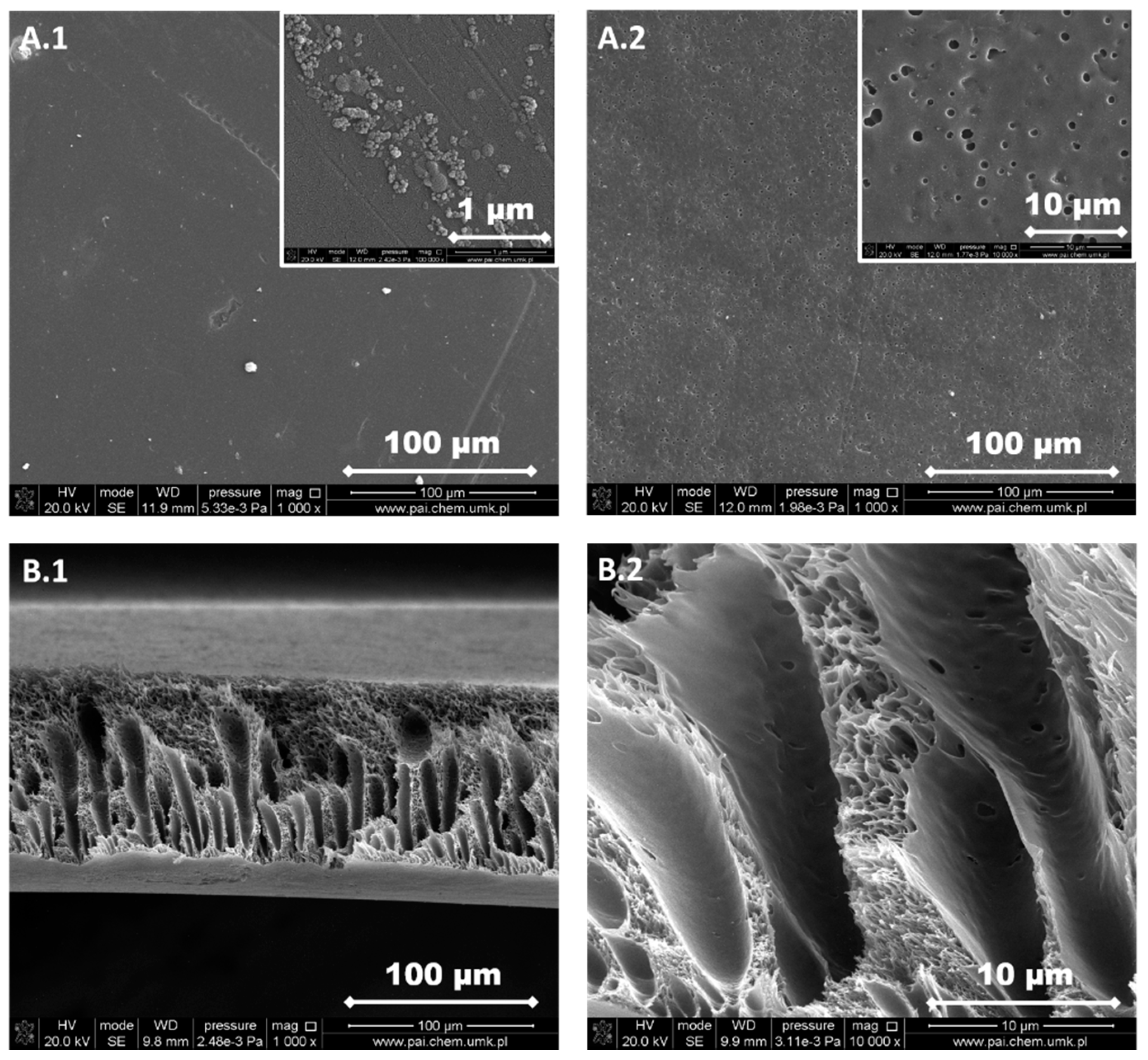Materials 13 02847 g006 Materials 13 02847 g006