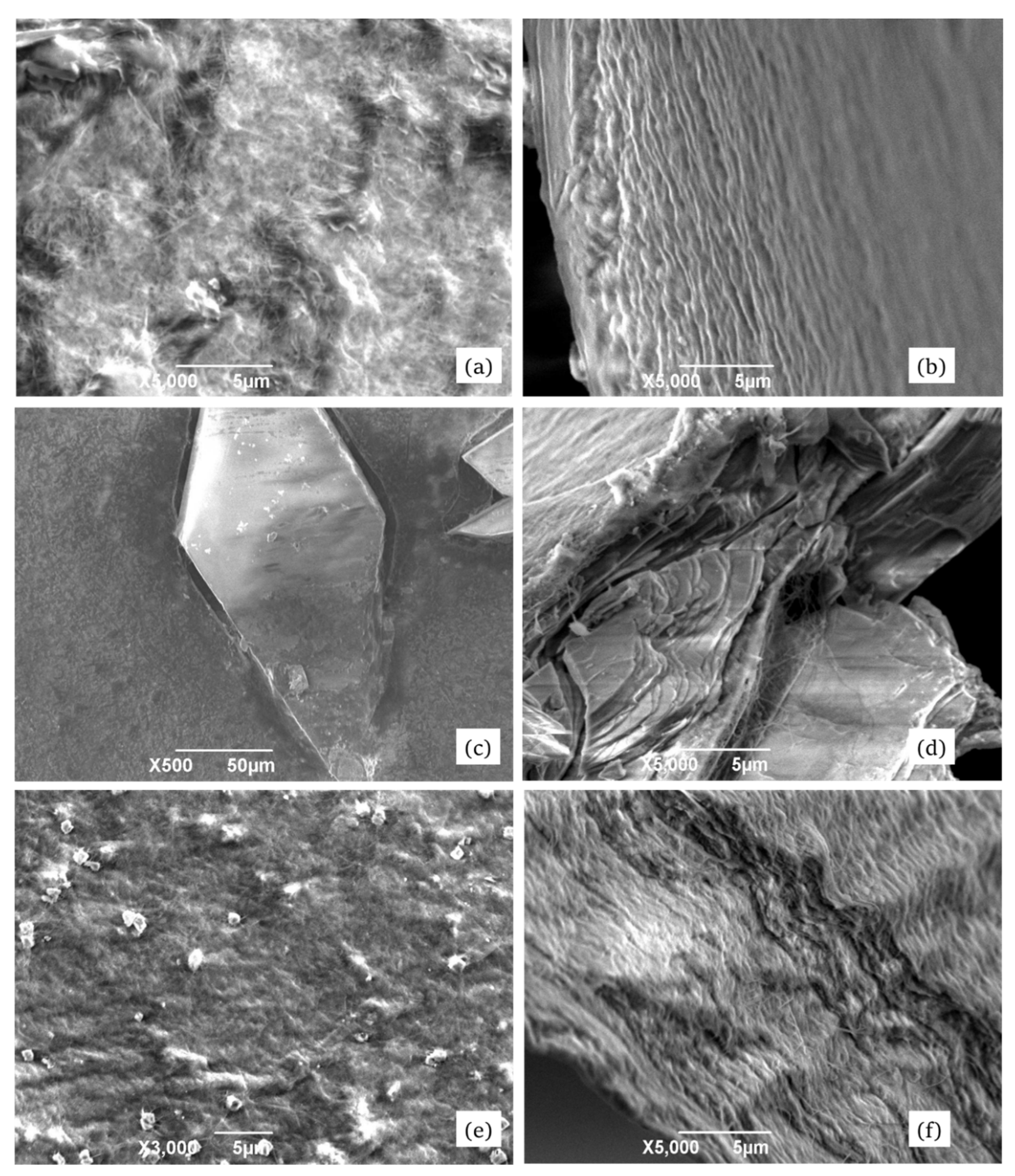 Materials 13 02849 g003