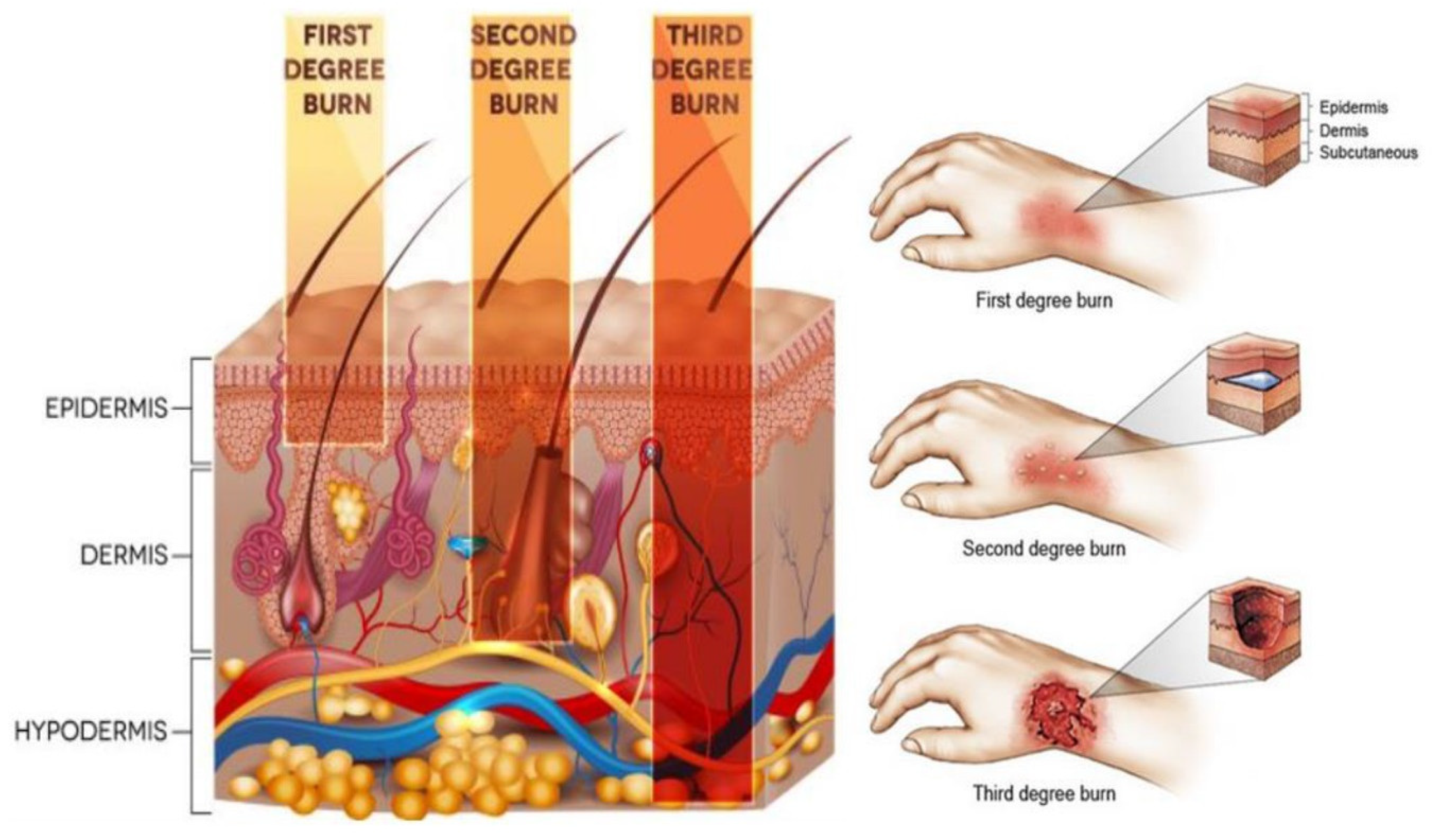 Materials 13 02853 g001