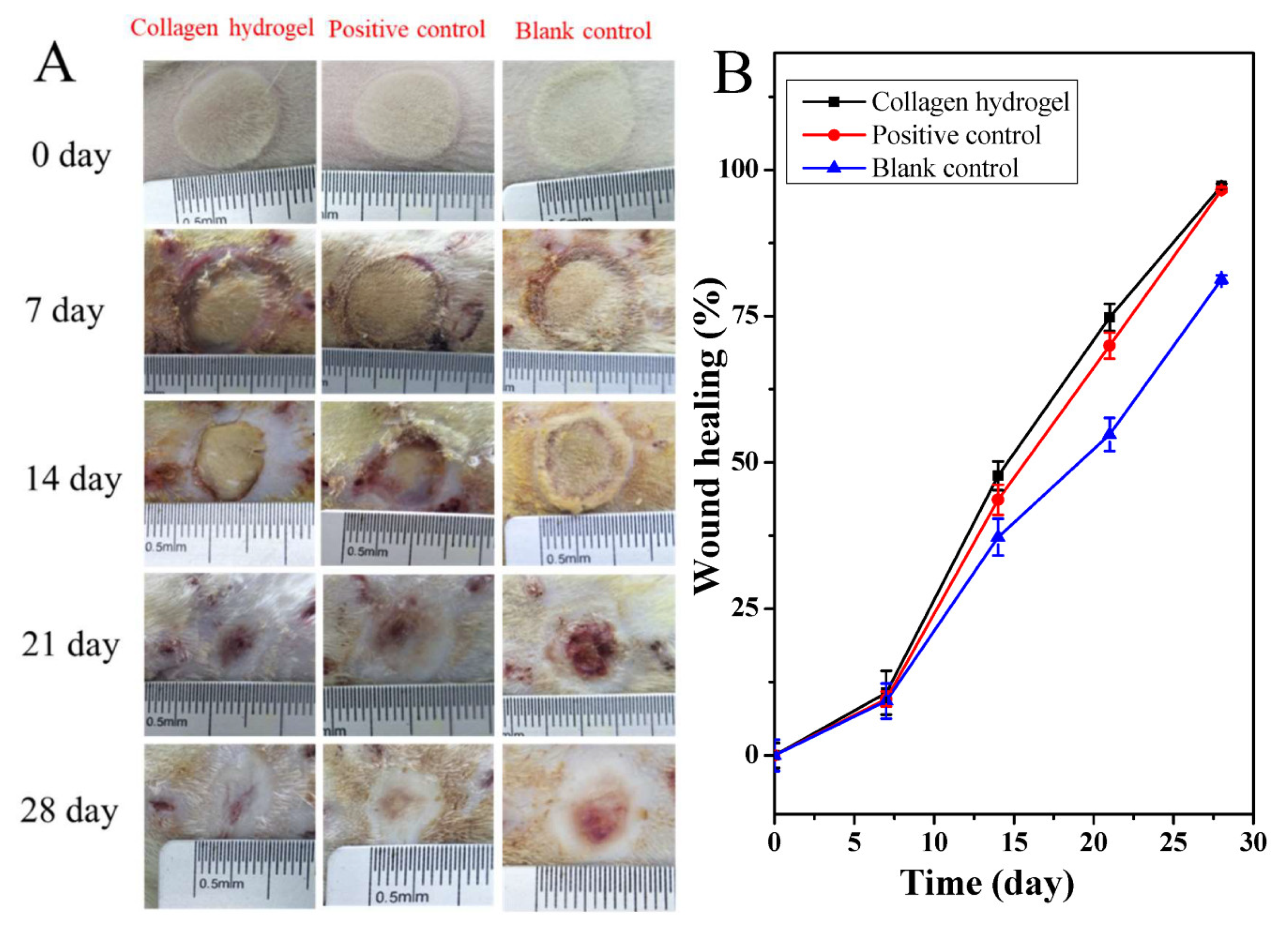 Materials 13 02853 g004