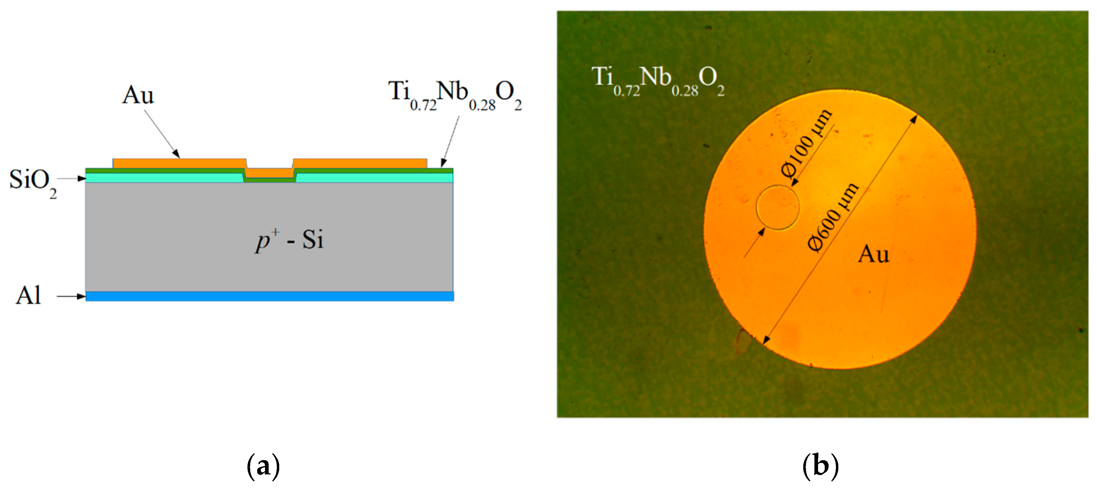 Materials 13 02857 g001 Materials 13 02857 g001