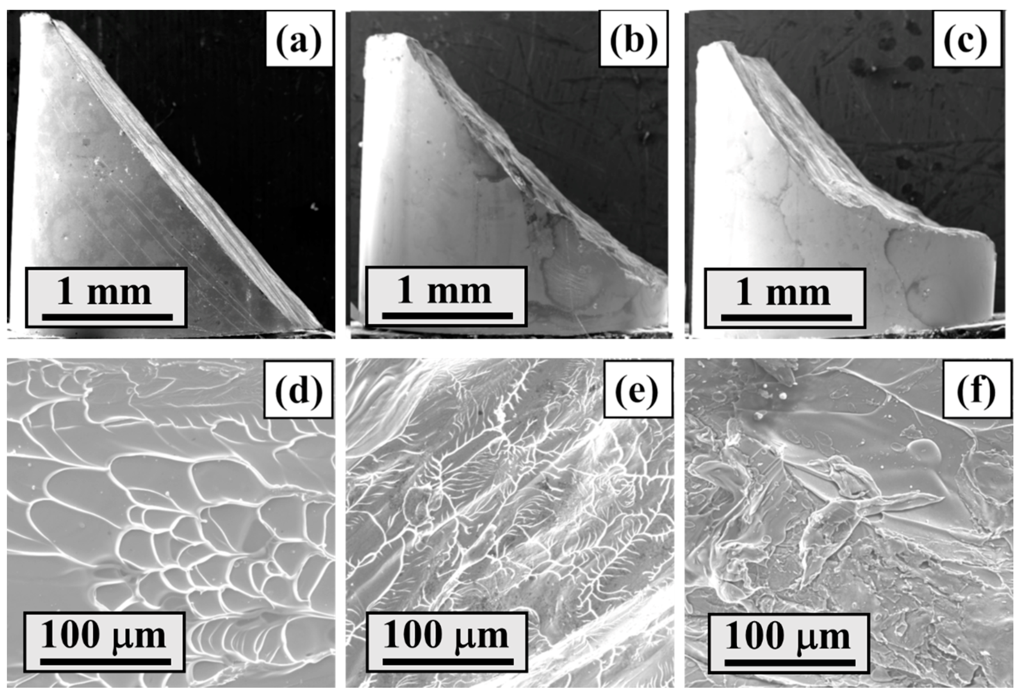 Materials 13 02861 g006