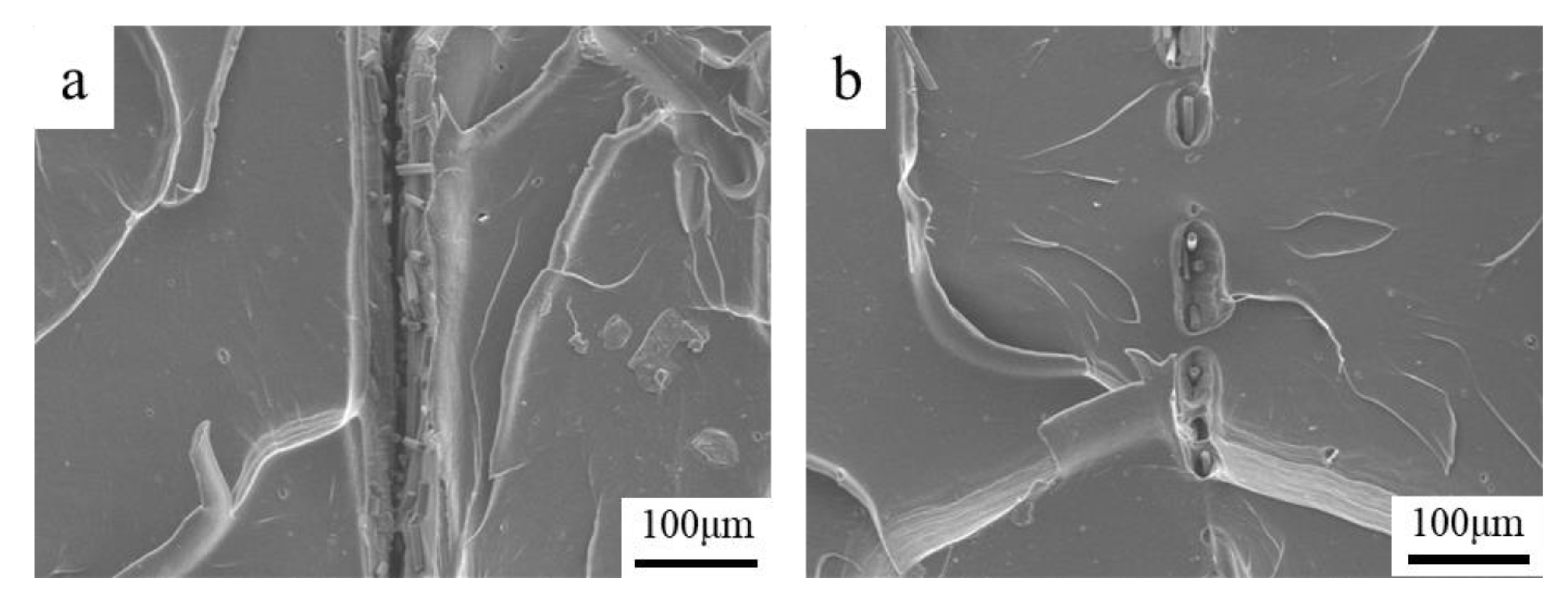 Materials 13 02868 g014