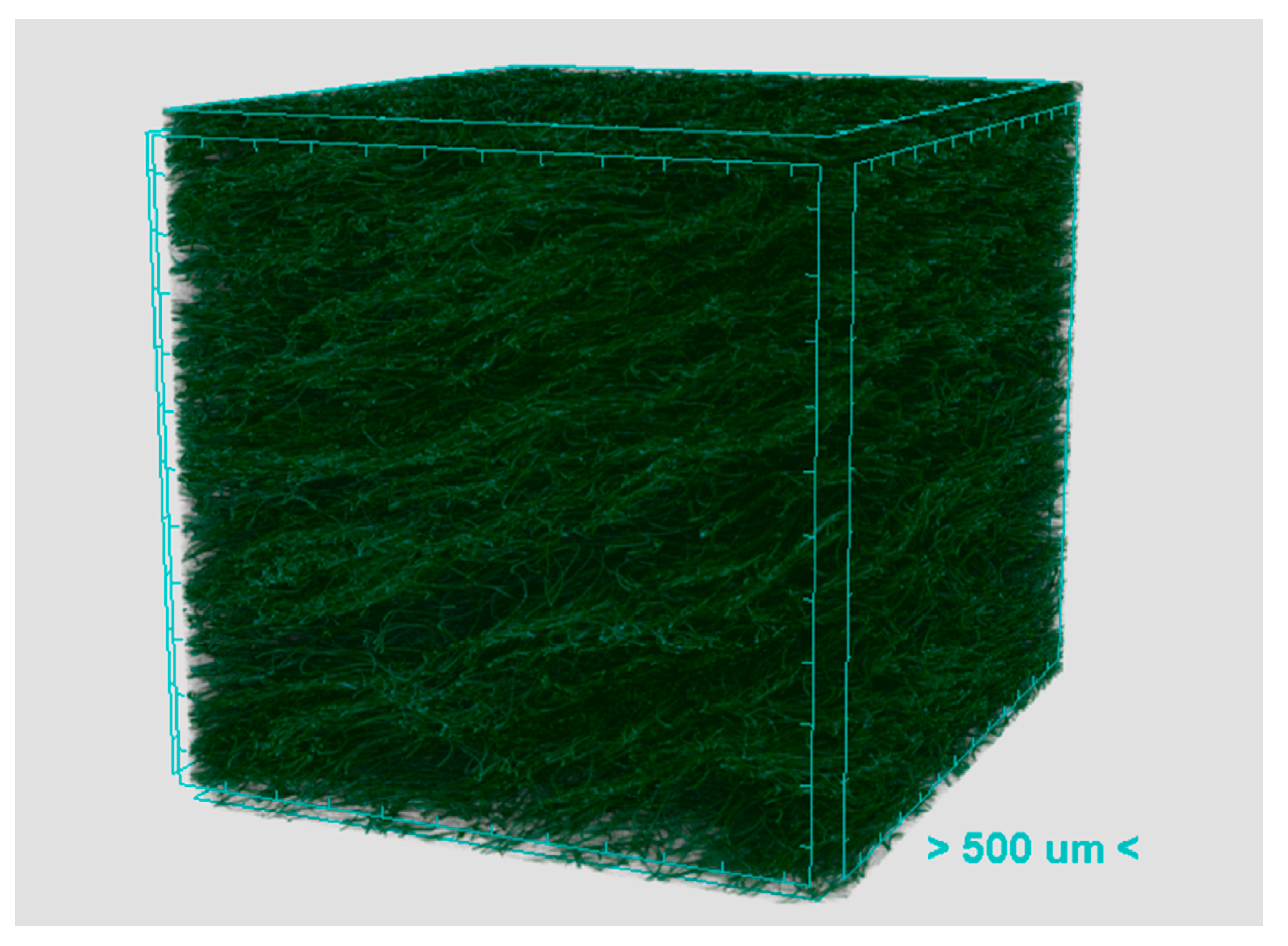 Materials 13 02882 g005