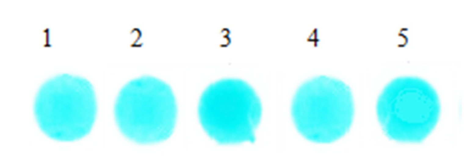 Materials 13 02903 g008 Materials 13 02903 g008