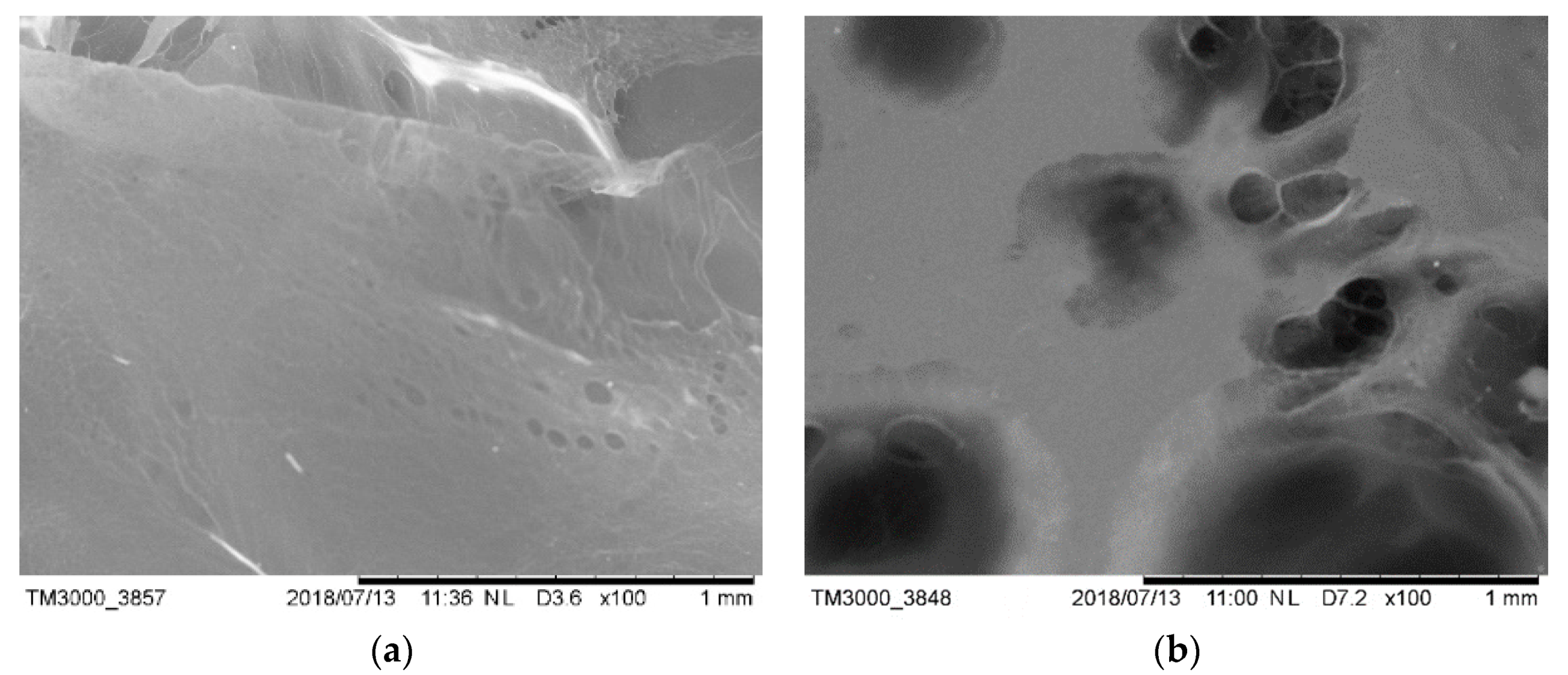 Materials 13 02918 g010