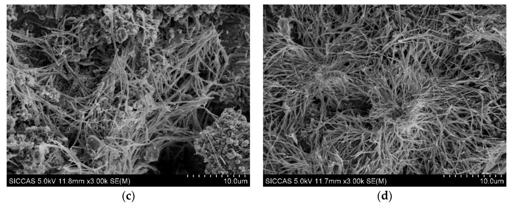 Materials 13 02918 g013b