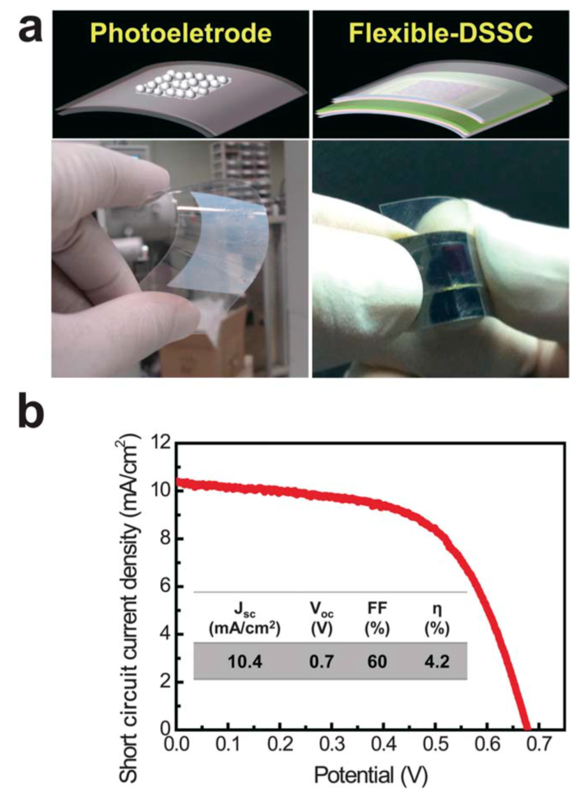 Materials 13 02931 g001 Materials 13 02931 g001