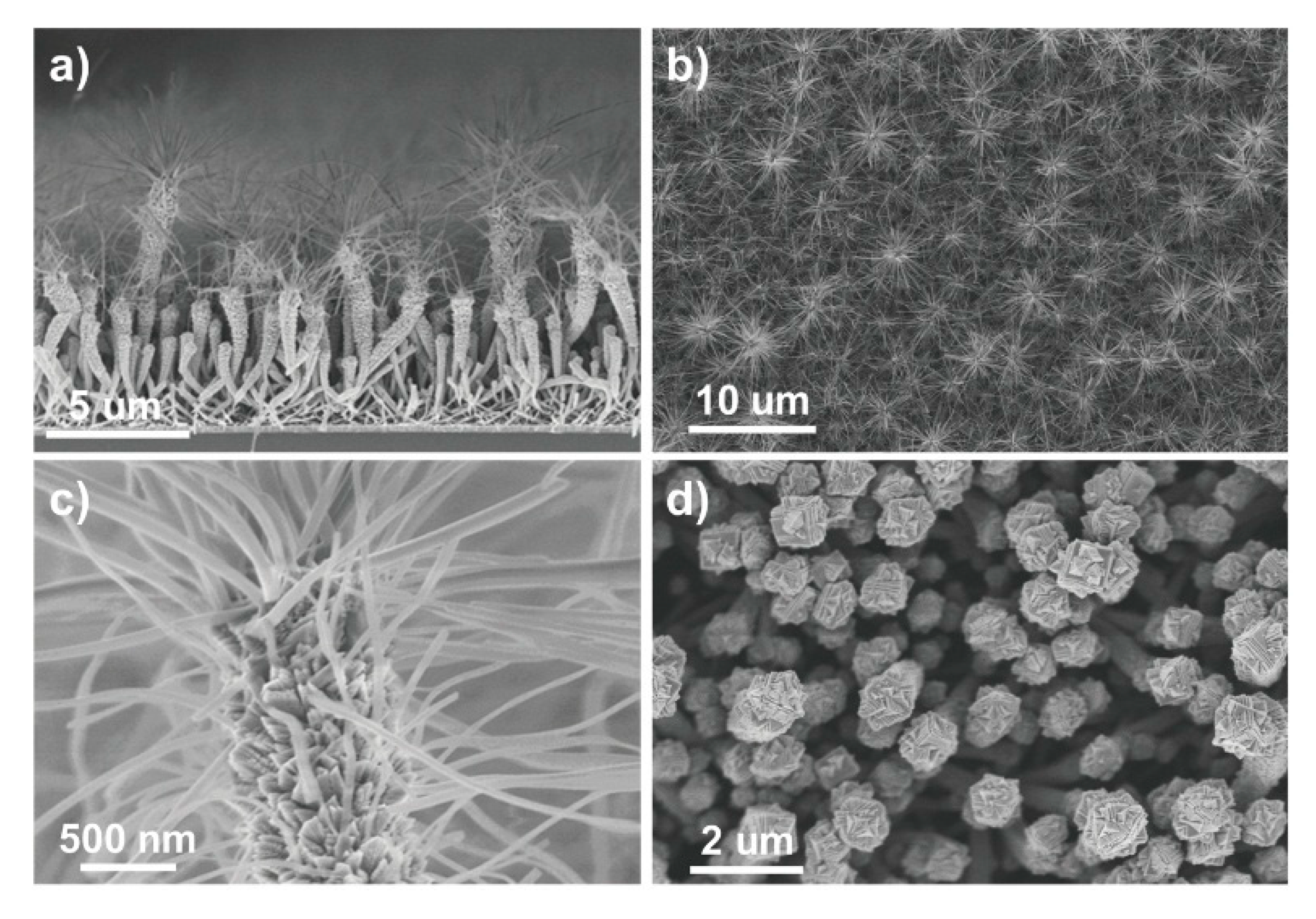 Materials 13 02931 g007 Materials 13 02931 g007