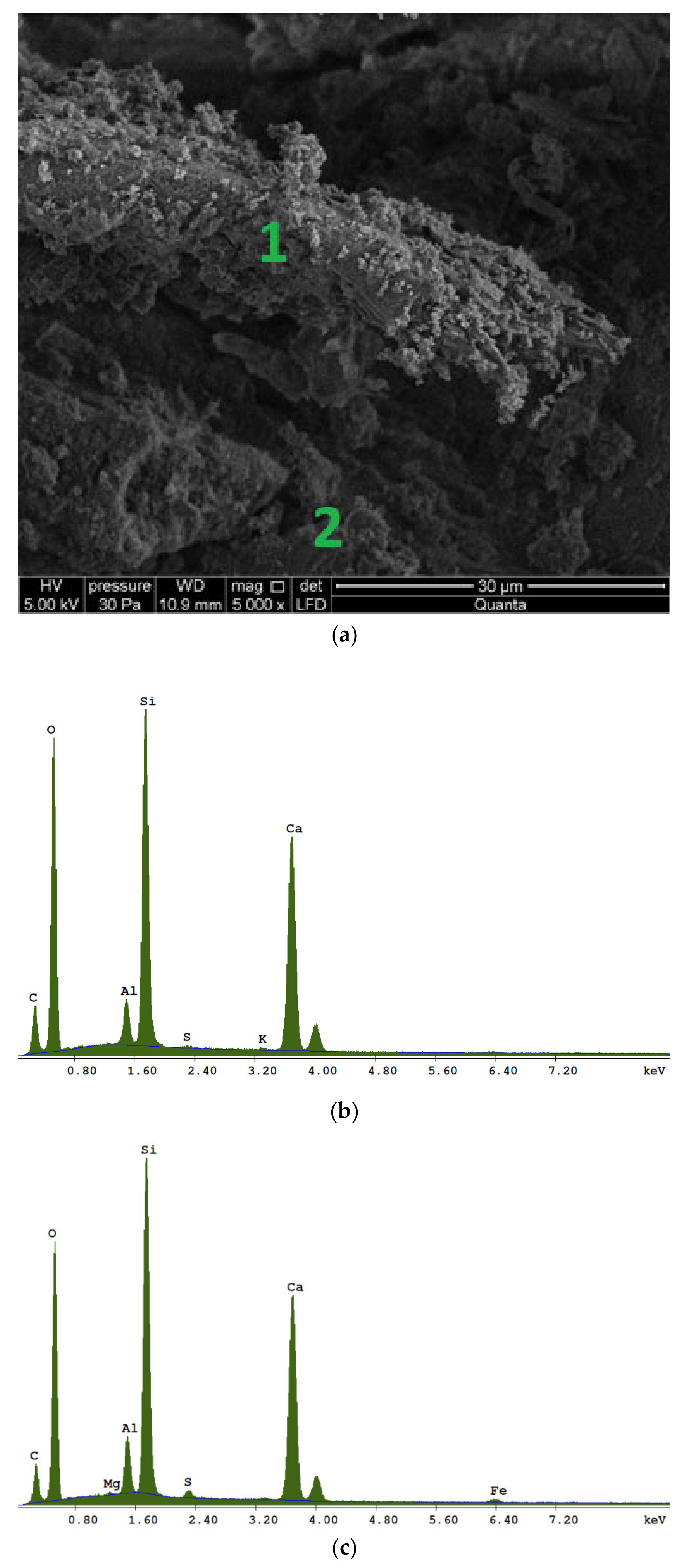 Materials 13 02966 g002 Materials 13 02966 g002