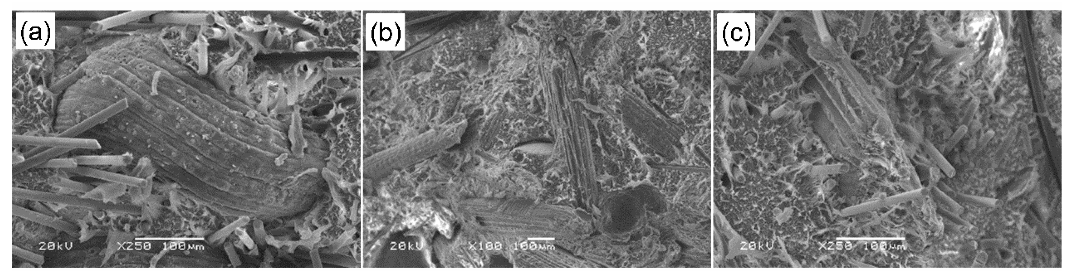 Materials 13 02967 g006