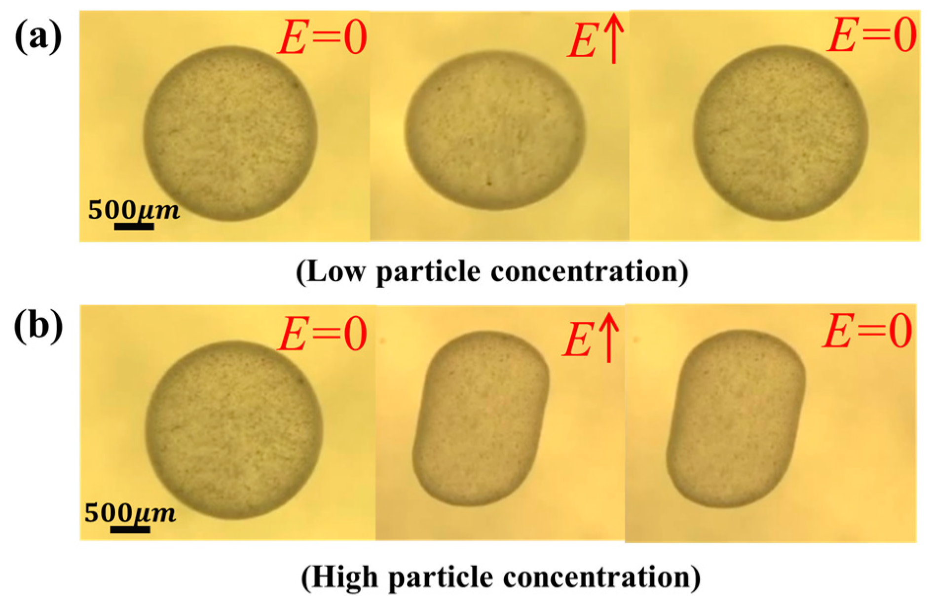 Materials 13 02984 g007