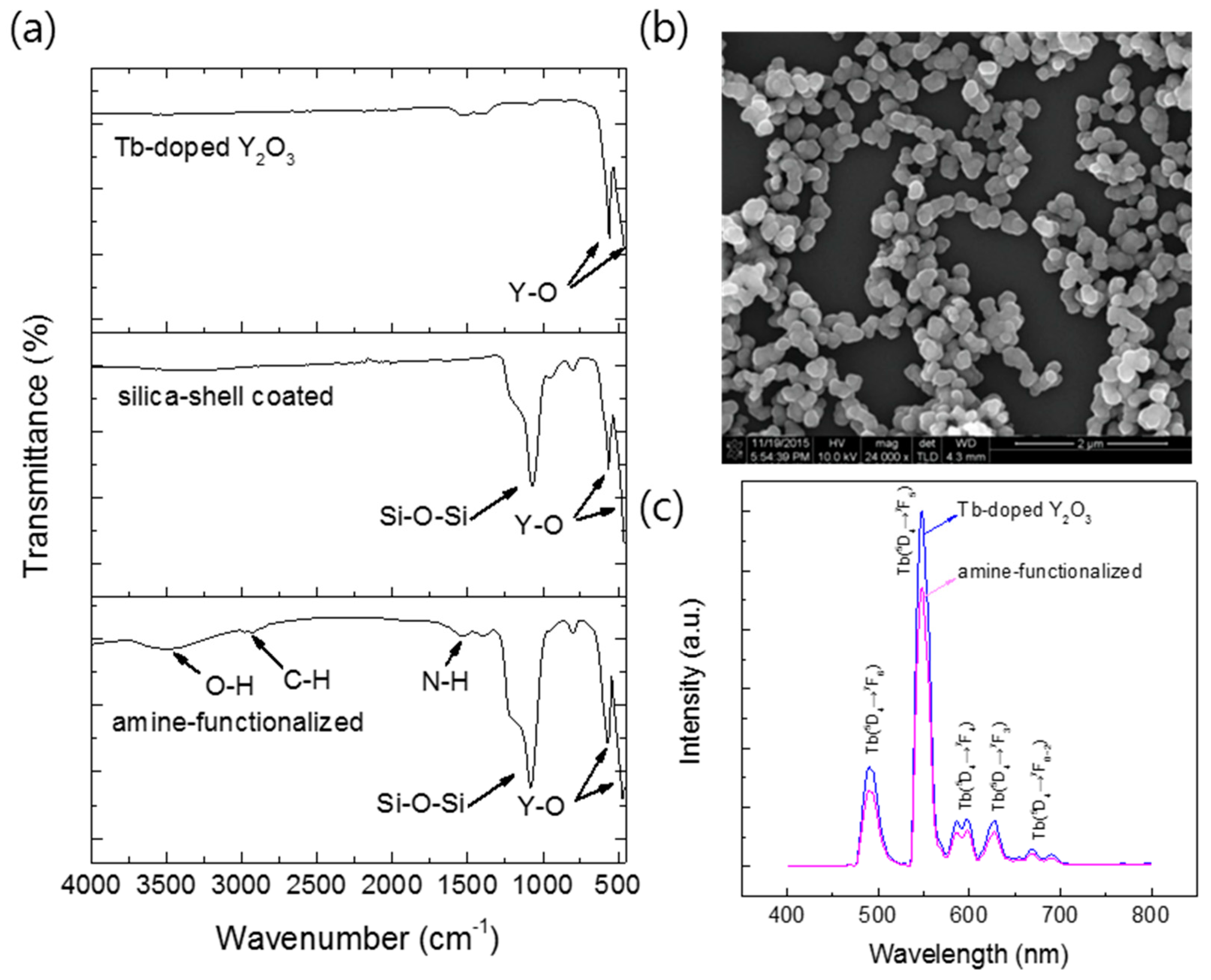 Materials 13 02987 g010