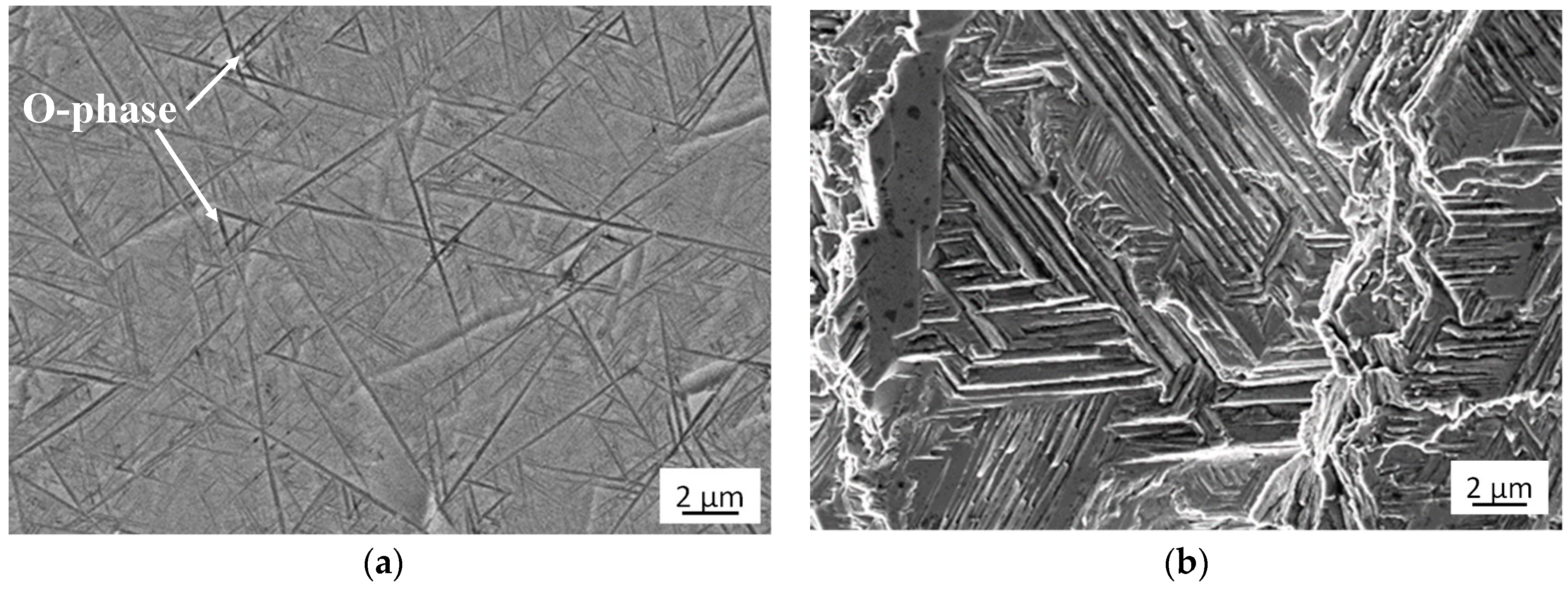 Materials 13 03006 g003