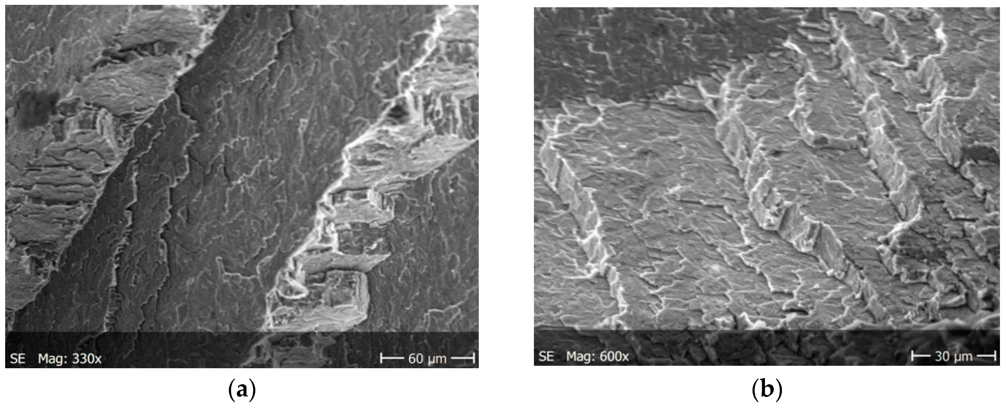Materials 13 03006 g010