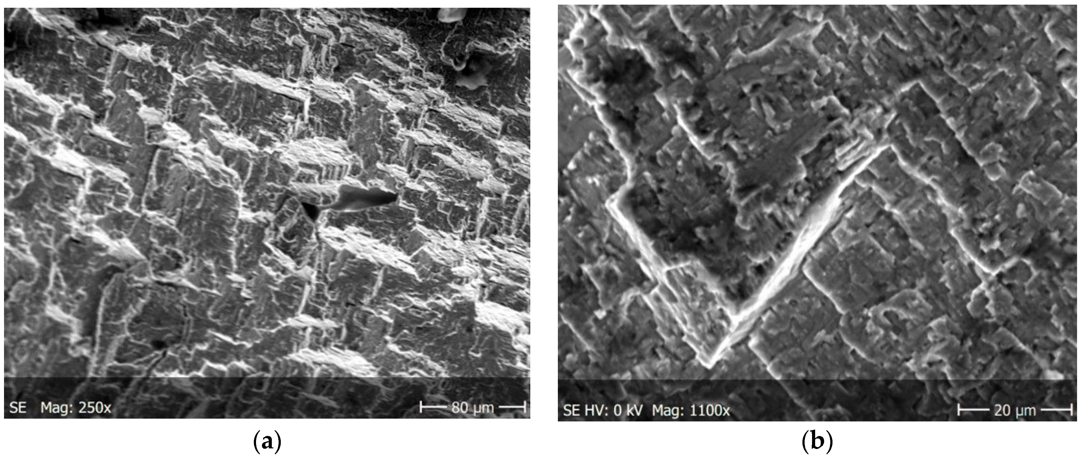 Materials 13 03006 g014