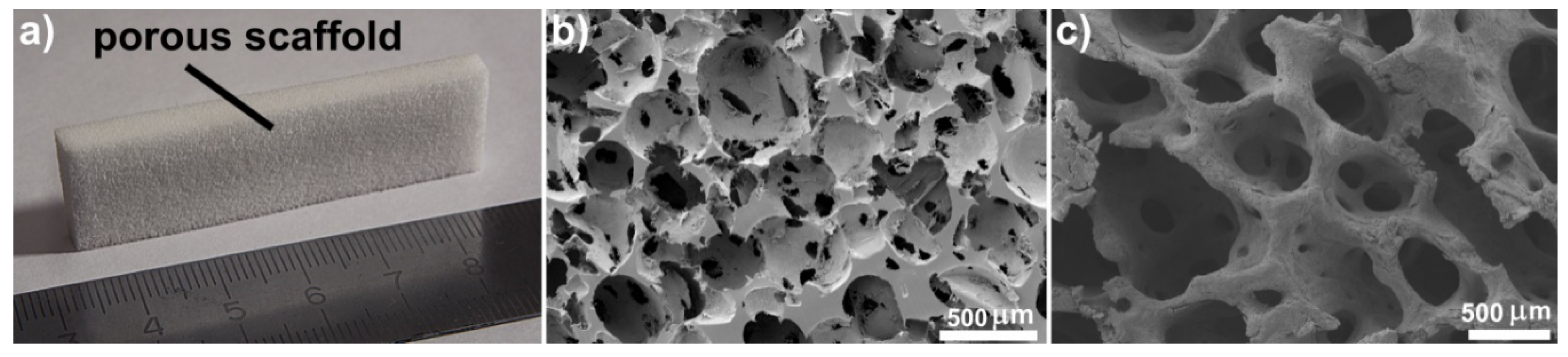 Materials 13 03010 g001