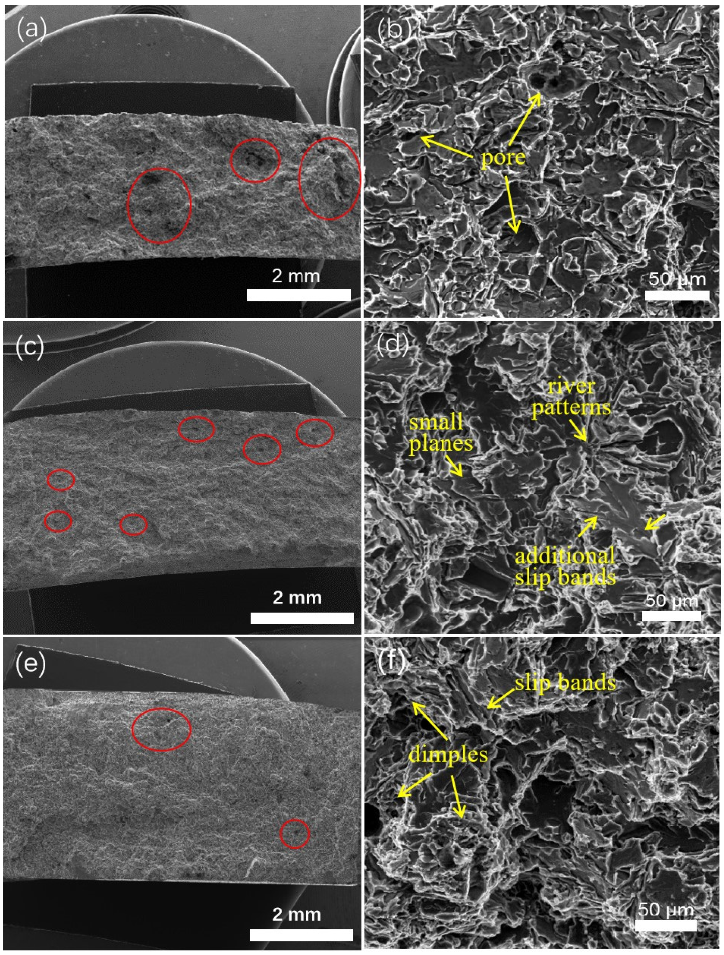 Materials 13 03019 g007