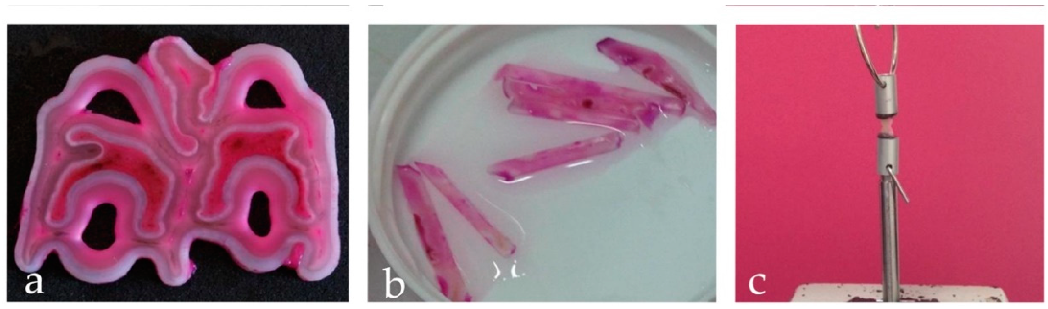 Materials 13 03026 g001 Materials 13 03026 g001